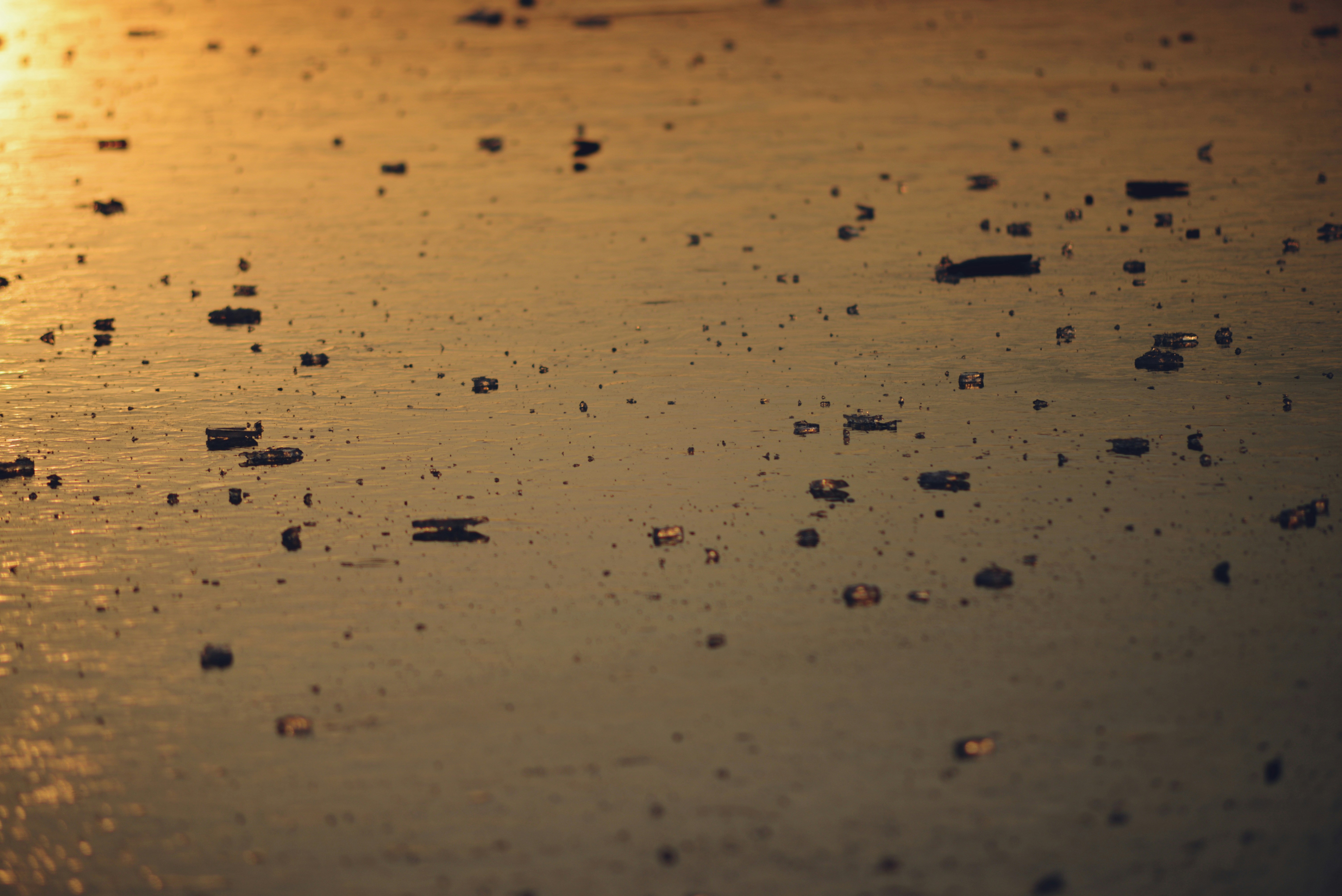 Photo by cherstve_pechivo