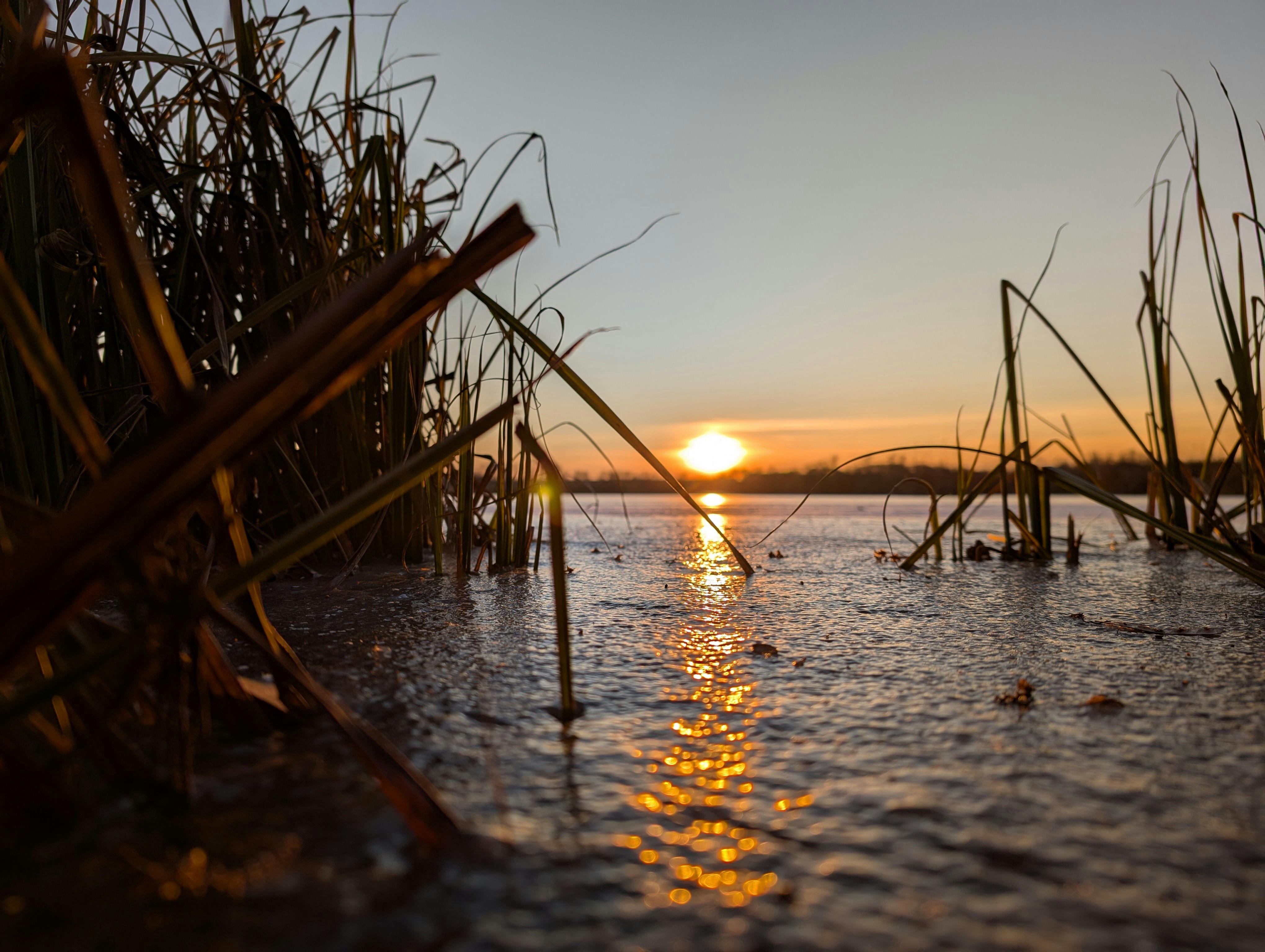 Photo by vitaliy_naumenko