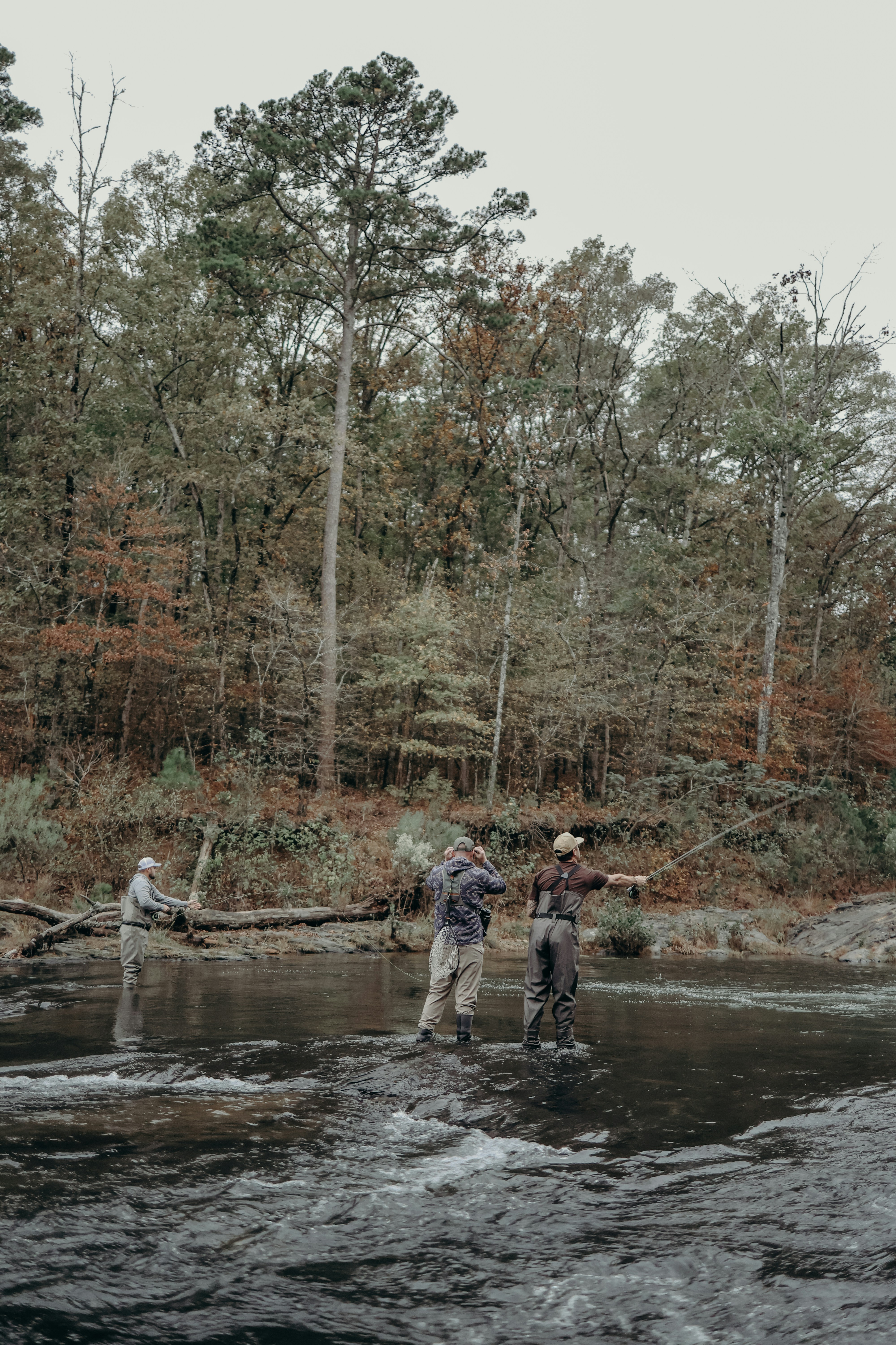 A group of men standing on top of a river next to a forest