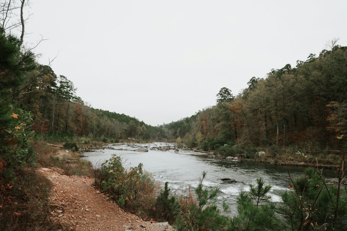 A river seen from a bankside trail on an overcast autumn day — broken riffle water in the middle distance flattening into a smoother, slower run below it