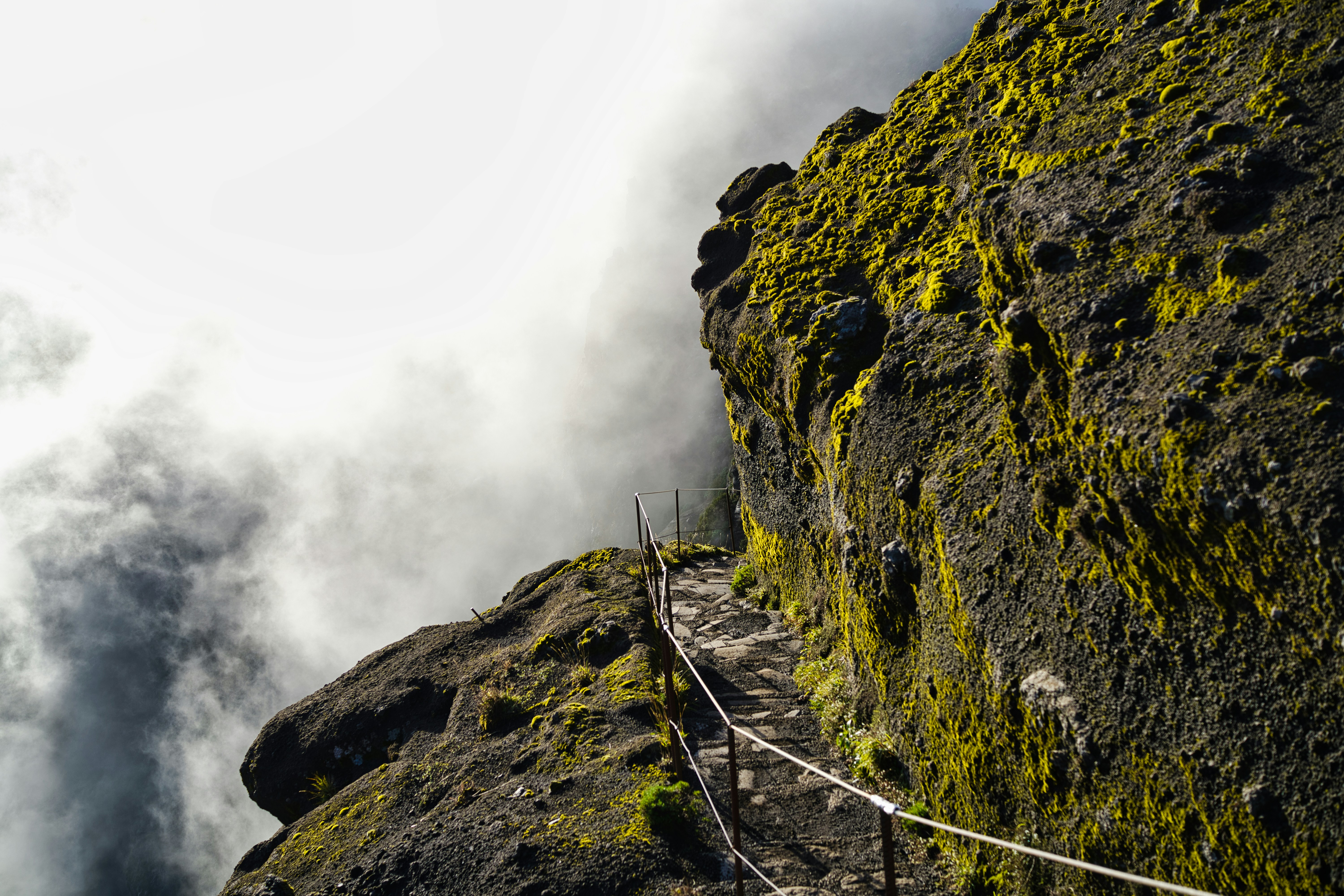 Photo by maksimshutov