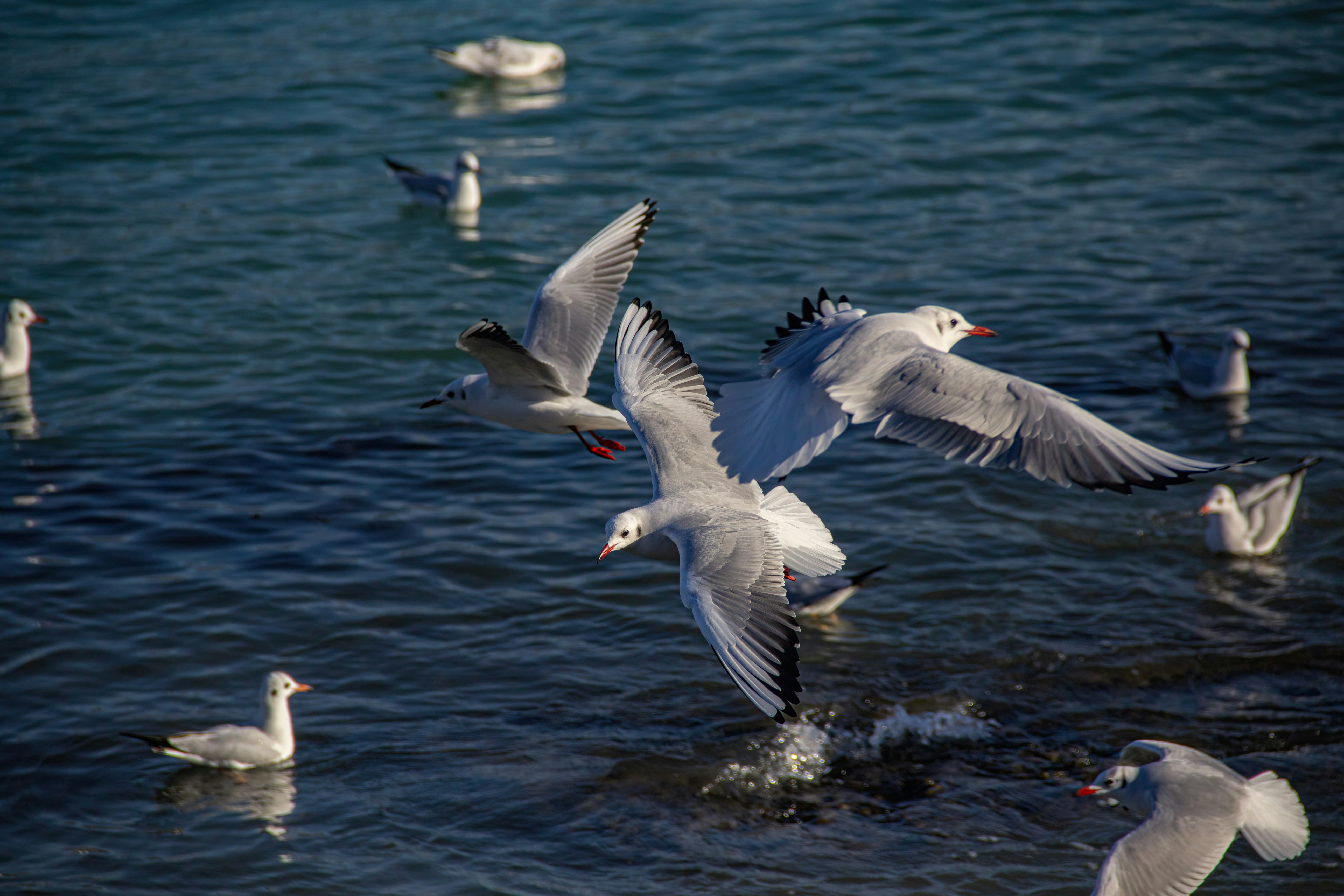 Photo by stepan_konev