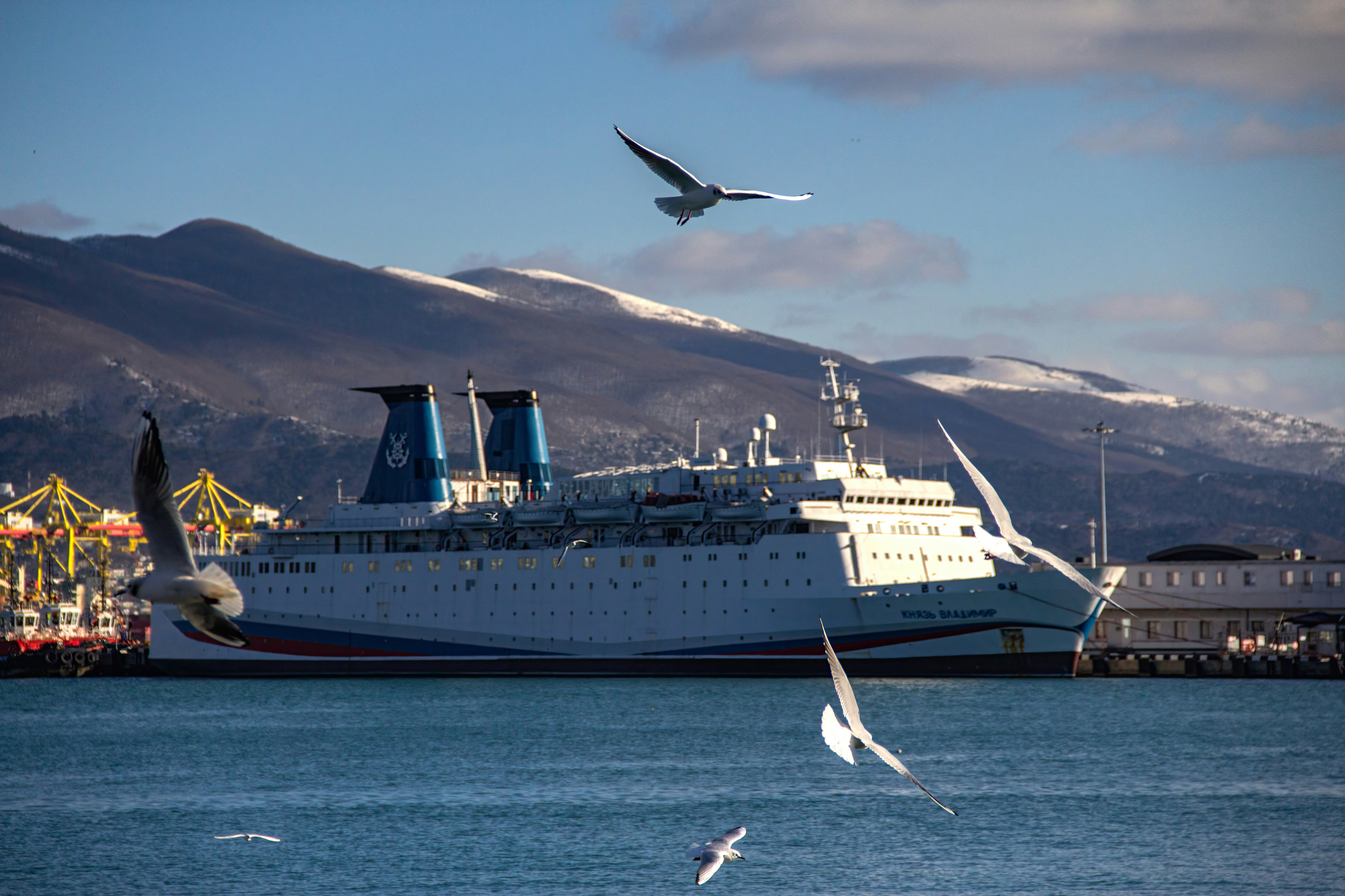 Photo by stepan_konev