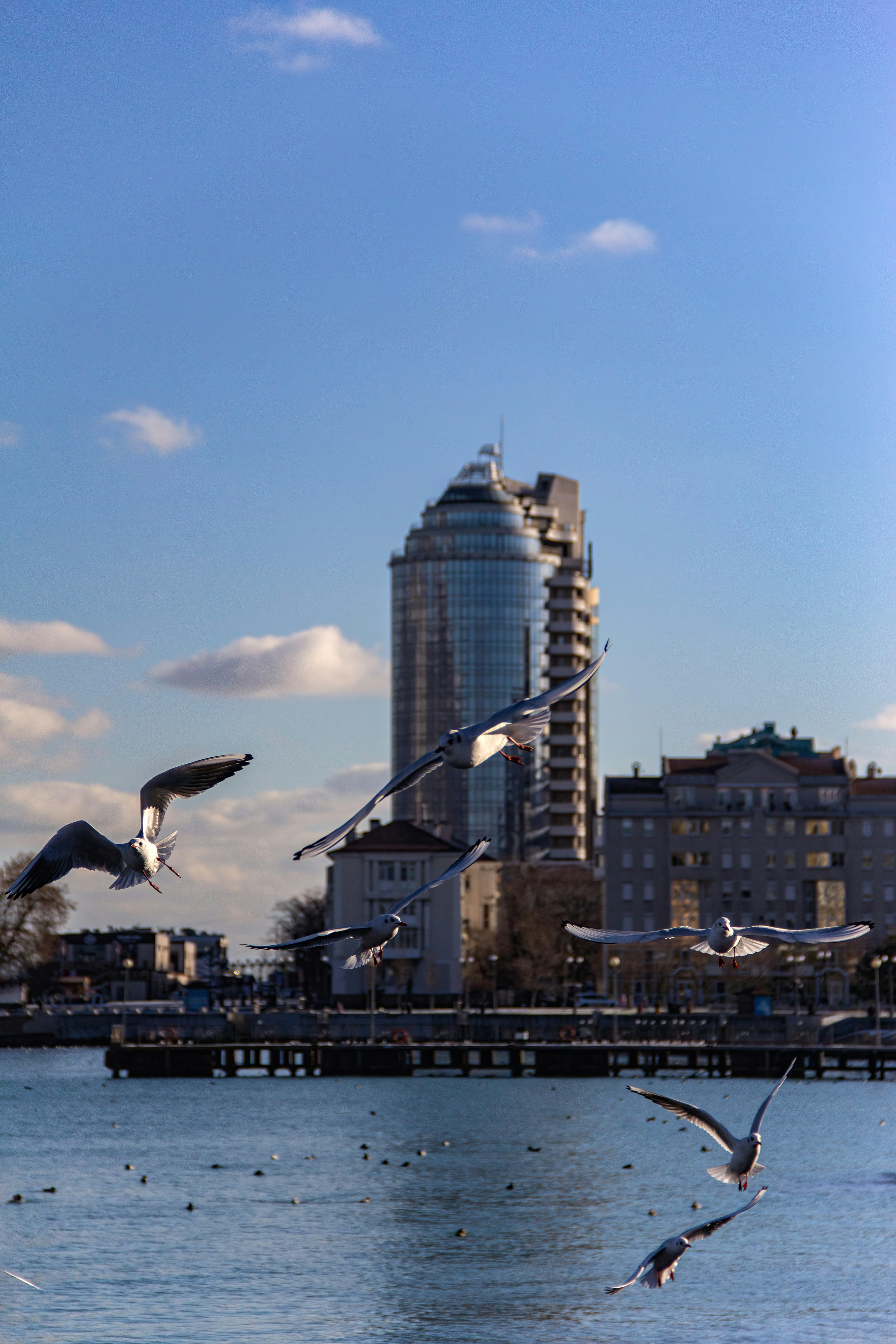 Photo by stepan_konev