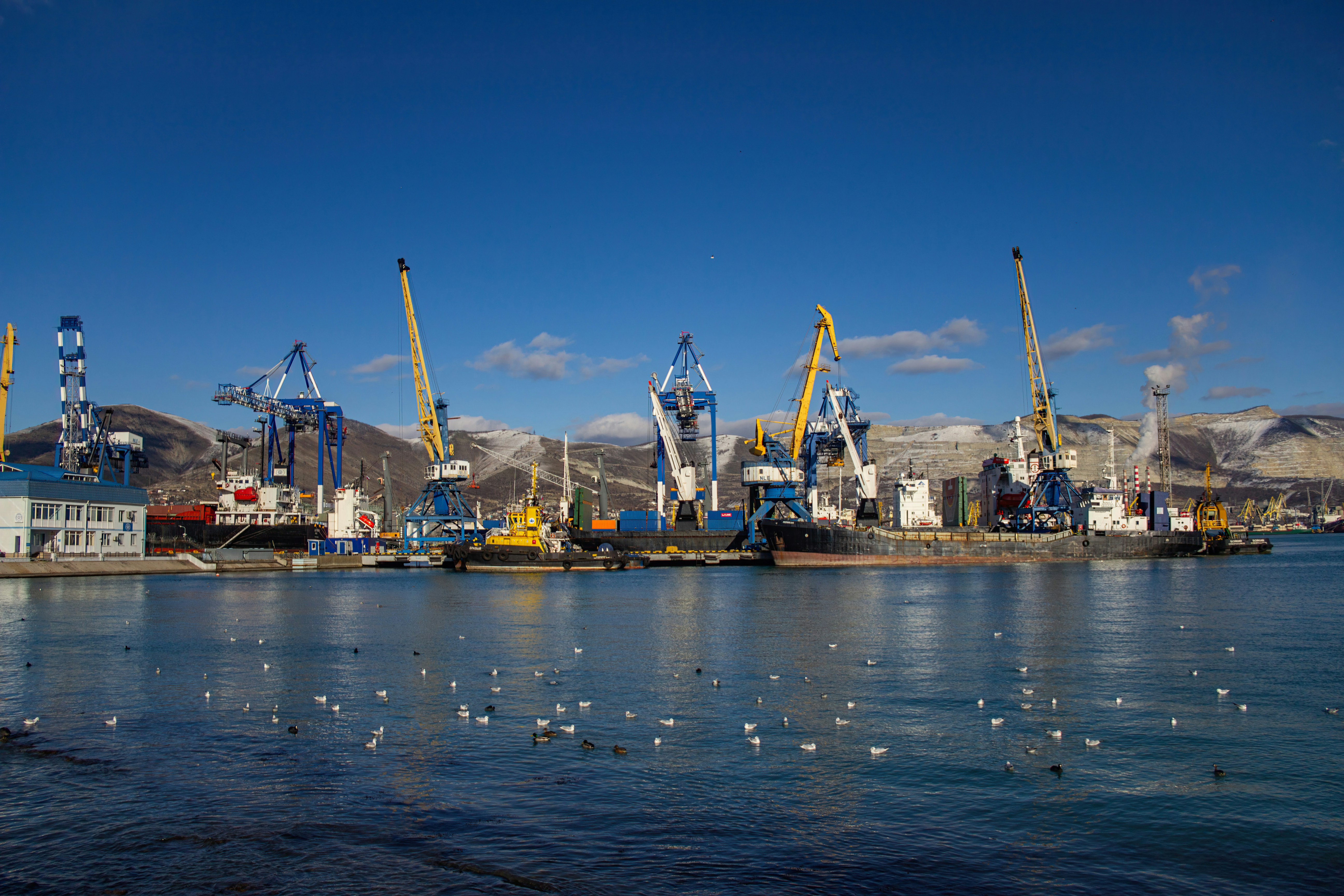 Photo by stepan_konev