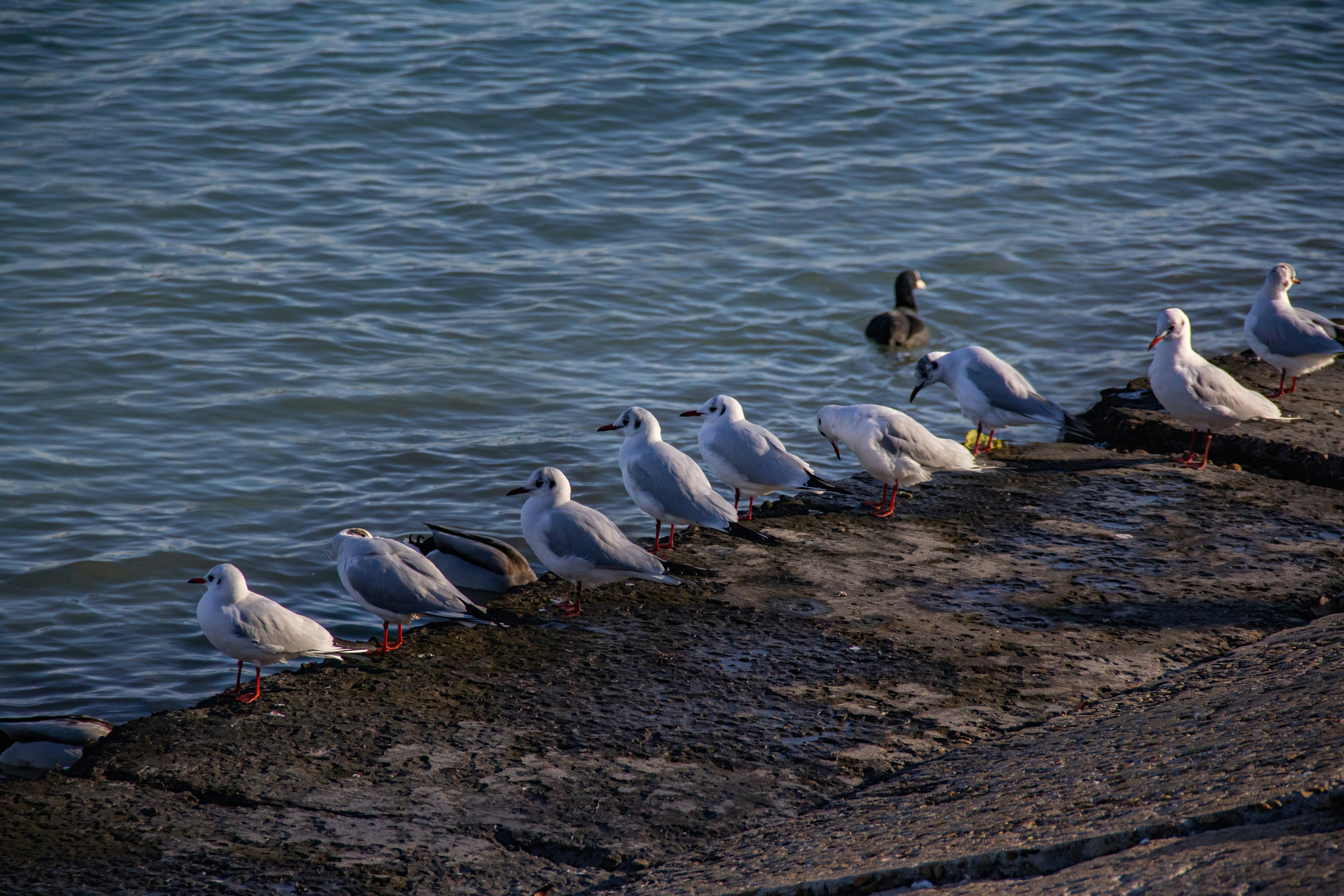 Photo by stepan_konev