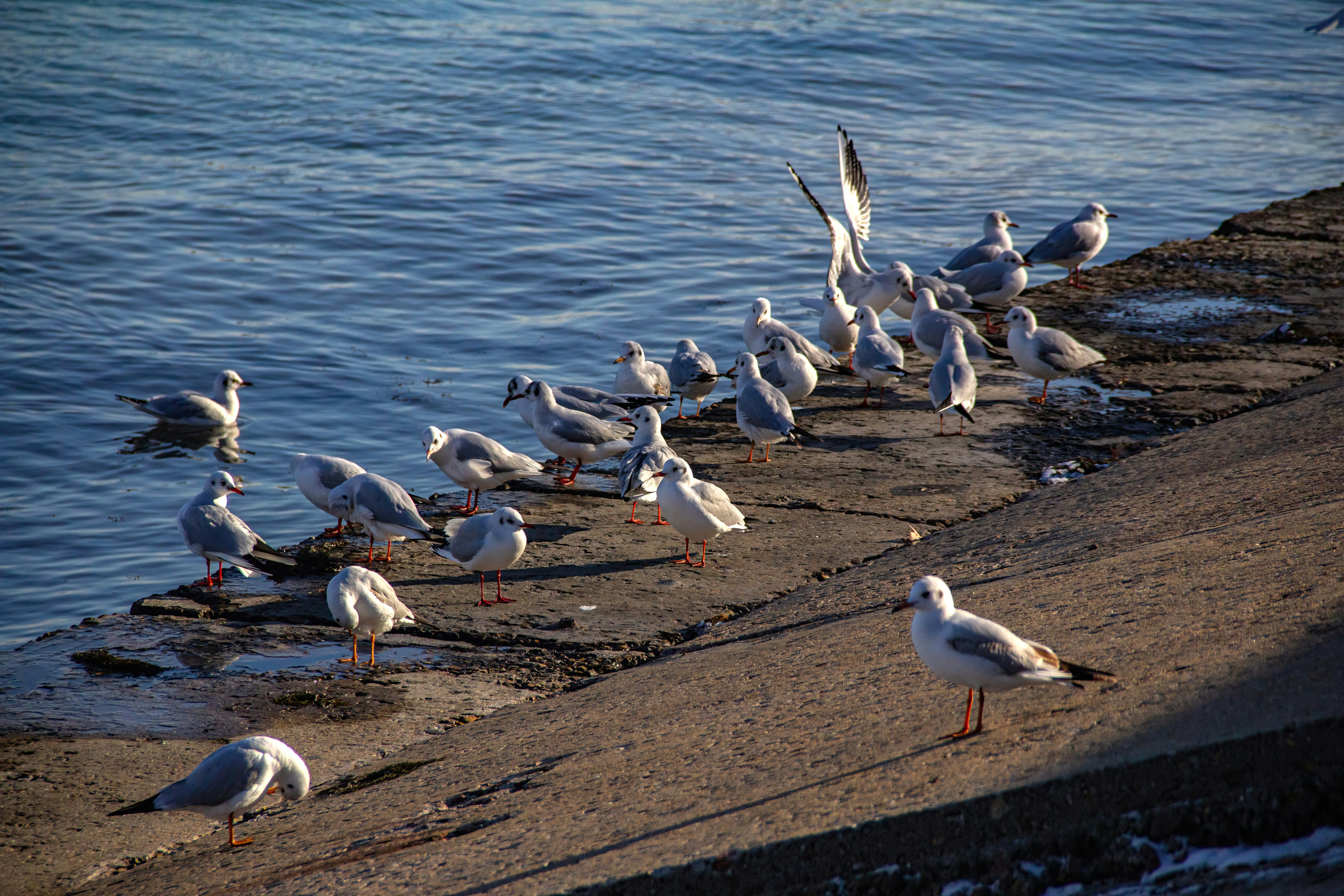 Photo by stepan_konev