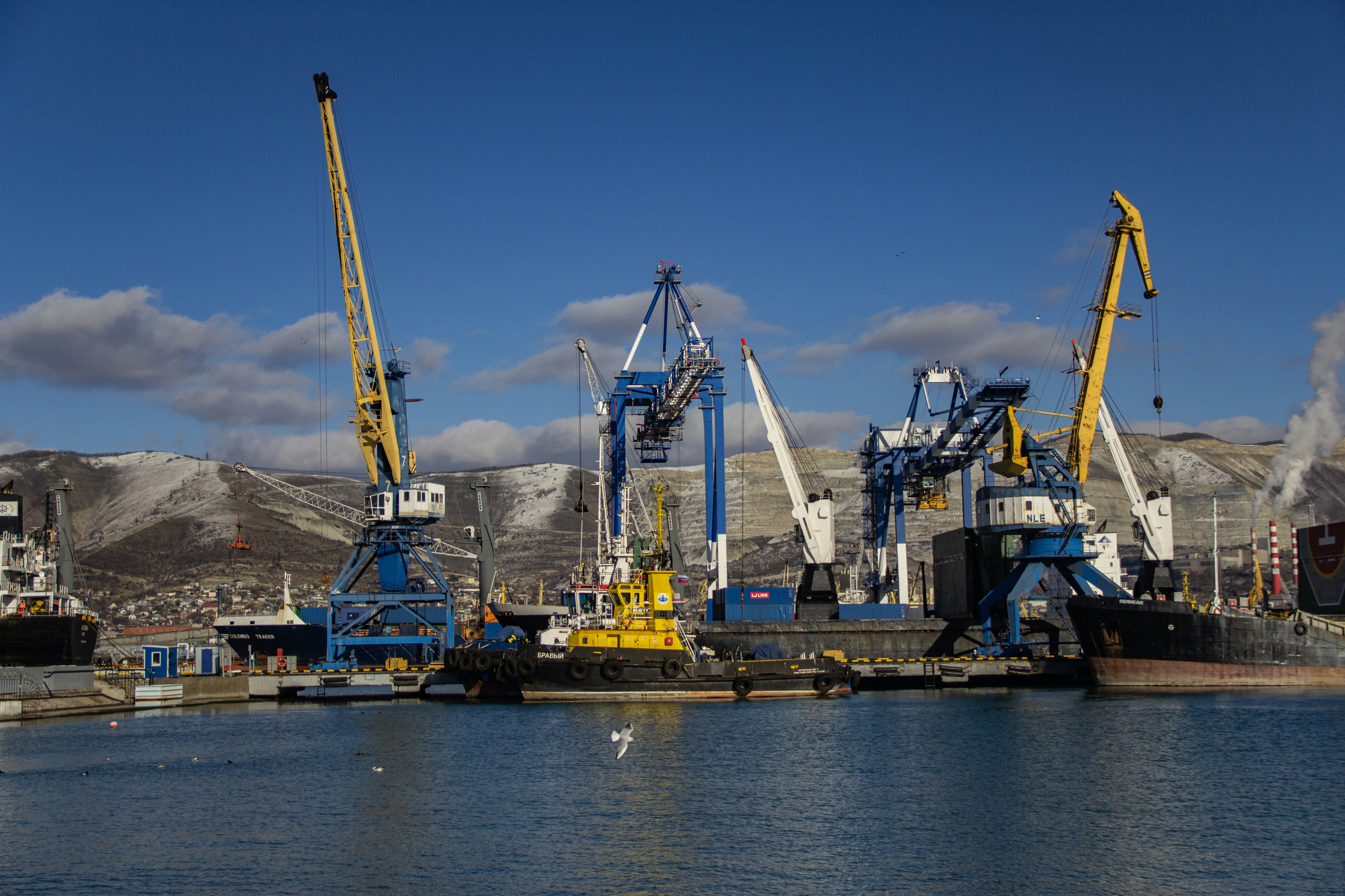 Photo by stepan_konev