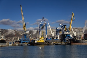 A large body of water filled with lots of cranes
