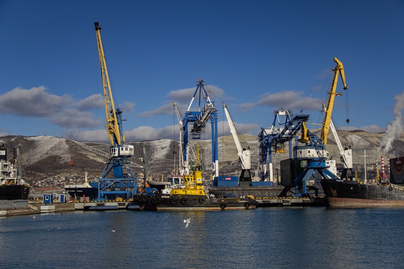 A large body of water filled with lots of cranes