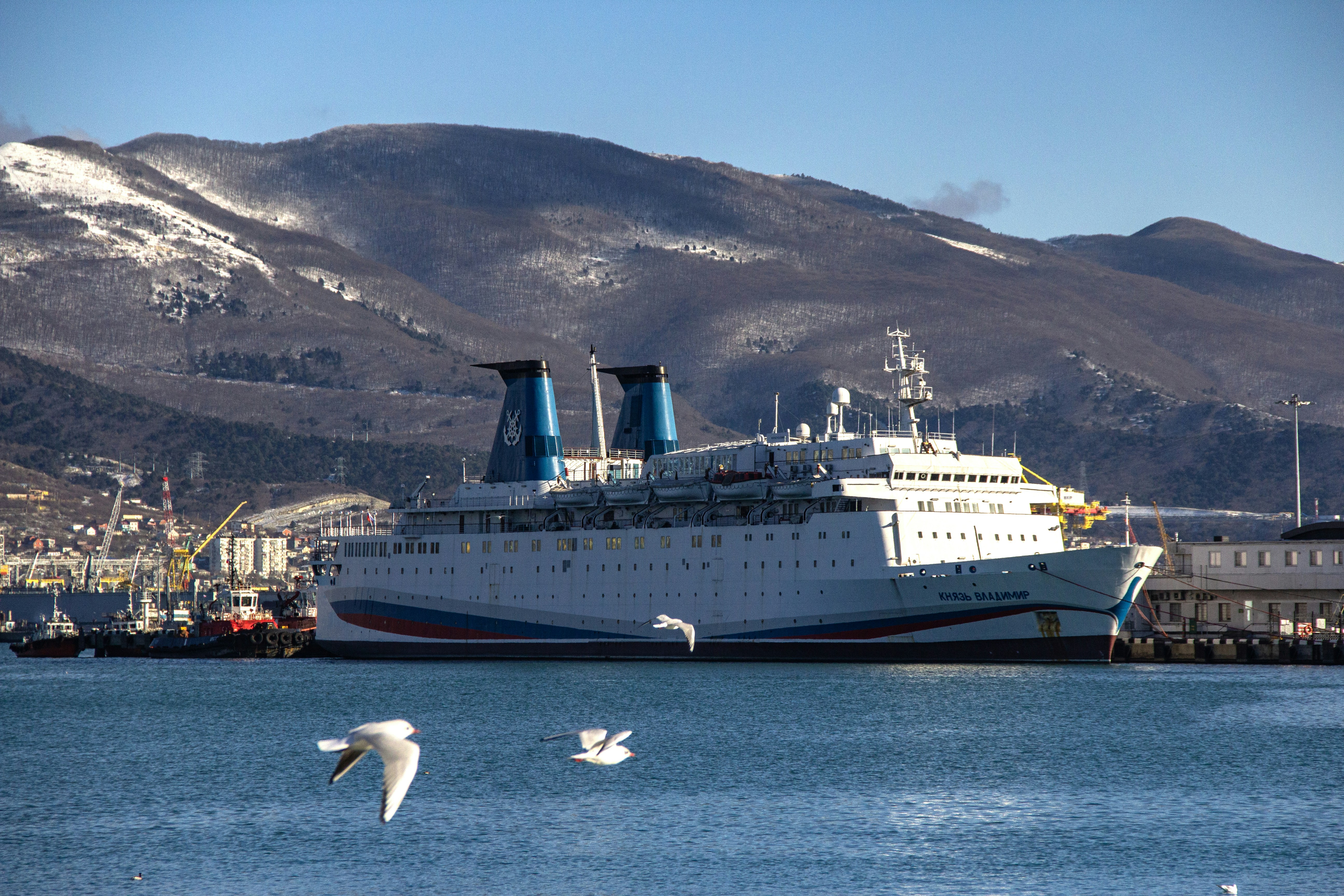 Photo by stepan_konev