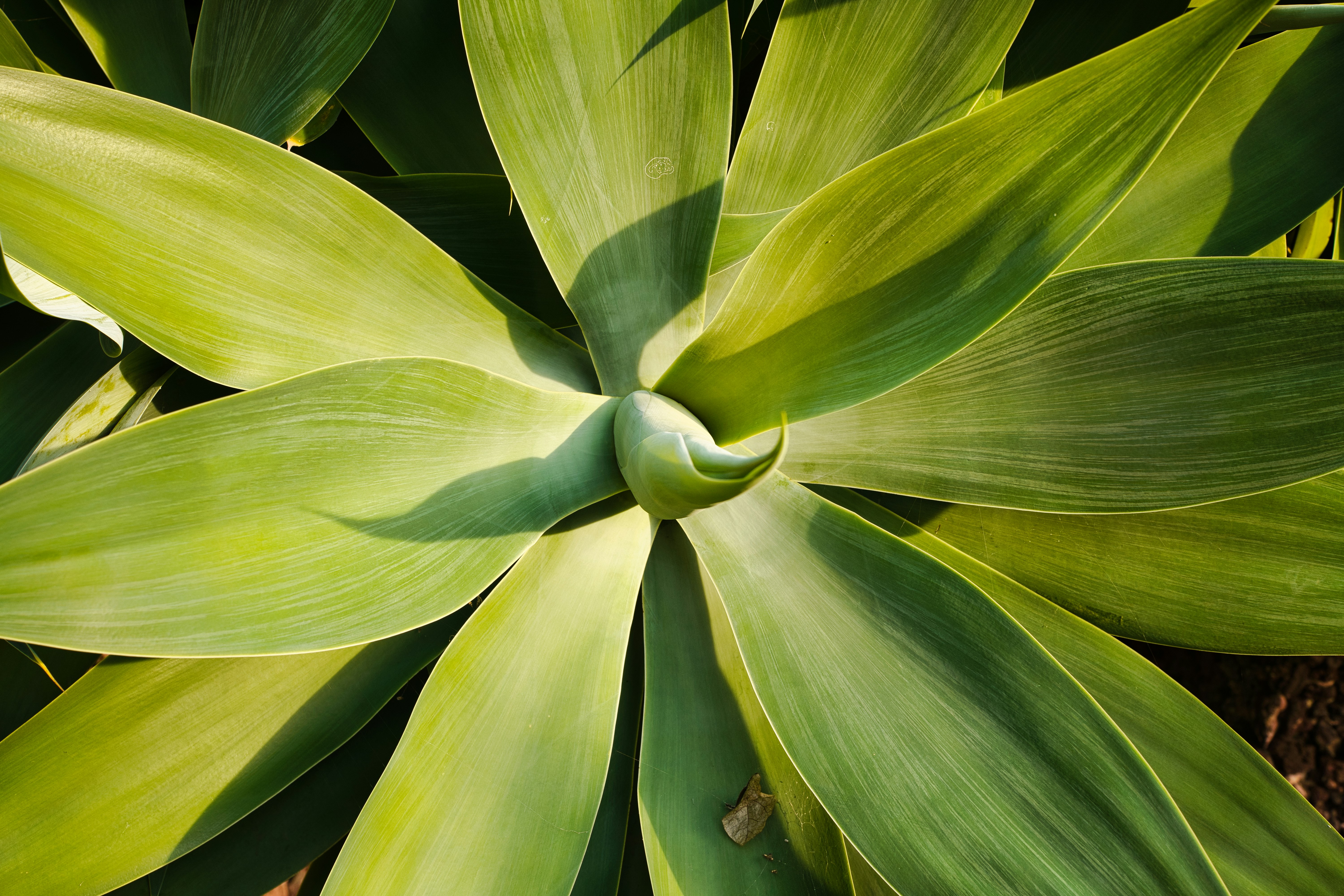 Photo by maksimshutov