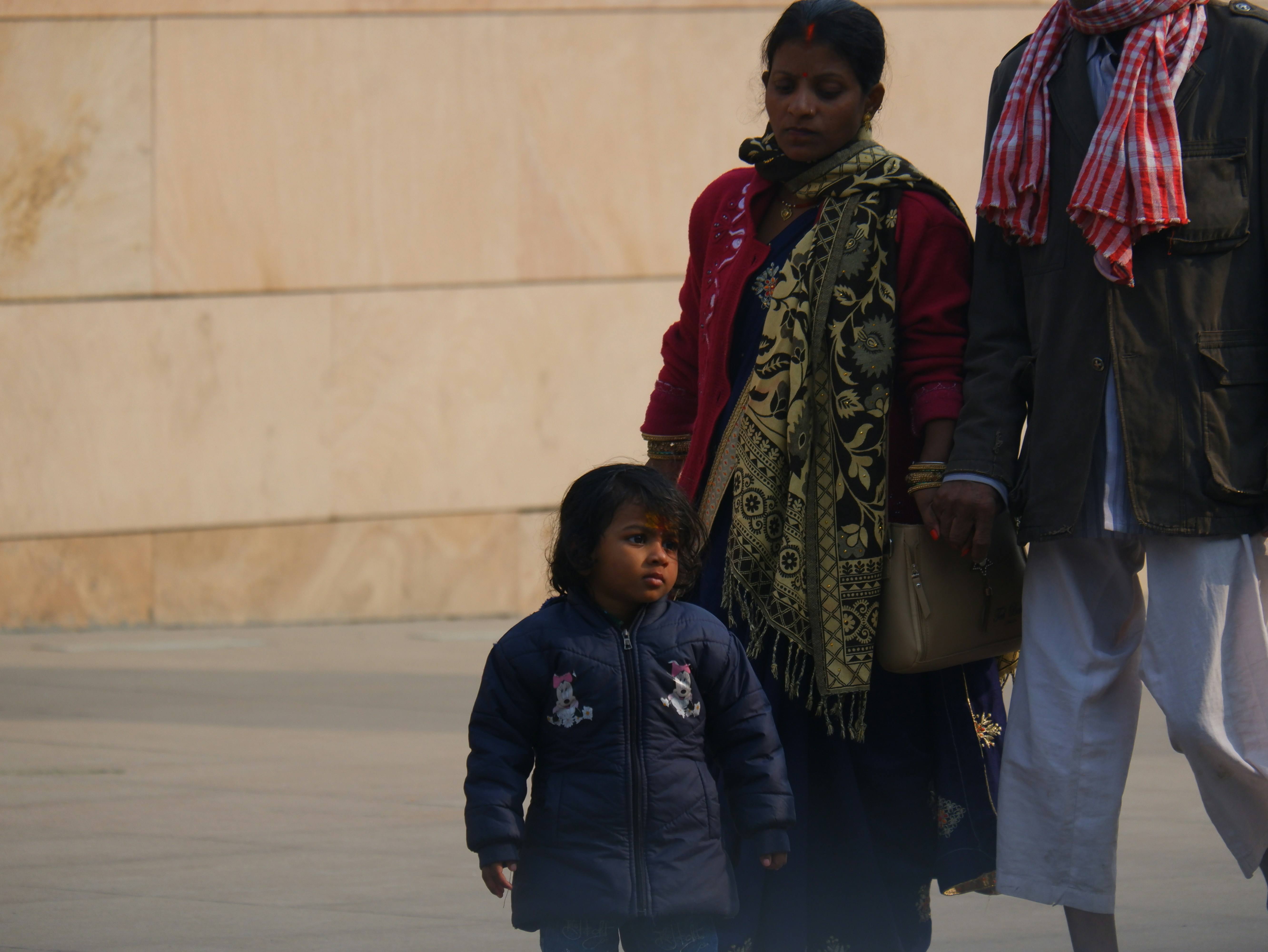 एक व्यक्ति स्मार्टफोन पर हेल्पलाइन नंबर डायल करते हुए या किसी आधिकारिक वेबसाइट को देखते हुए।