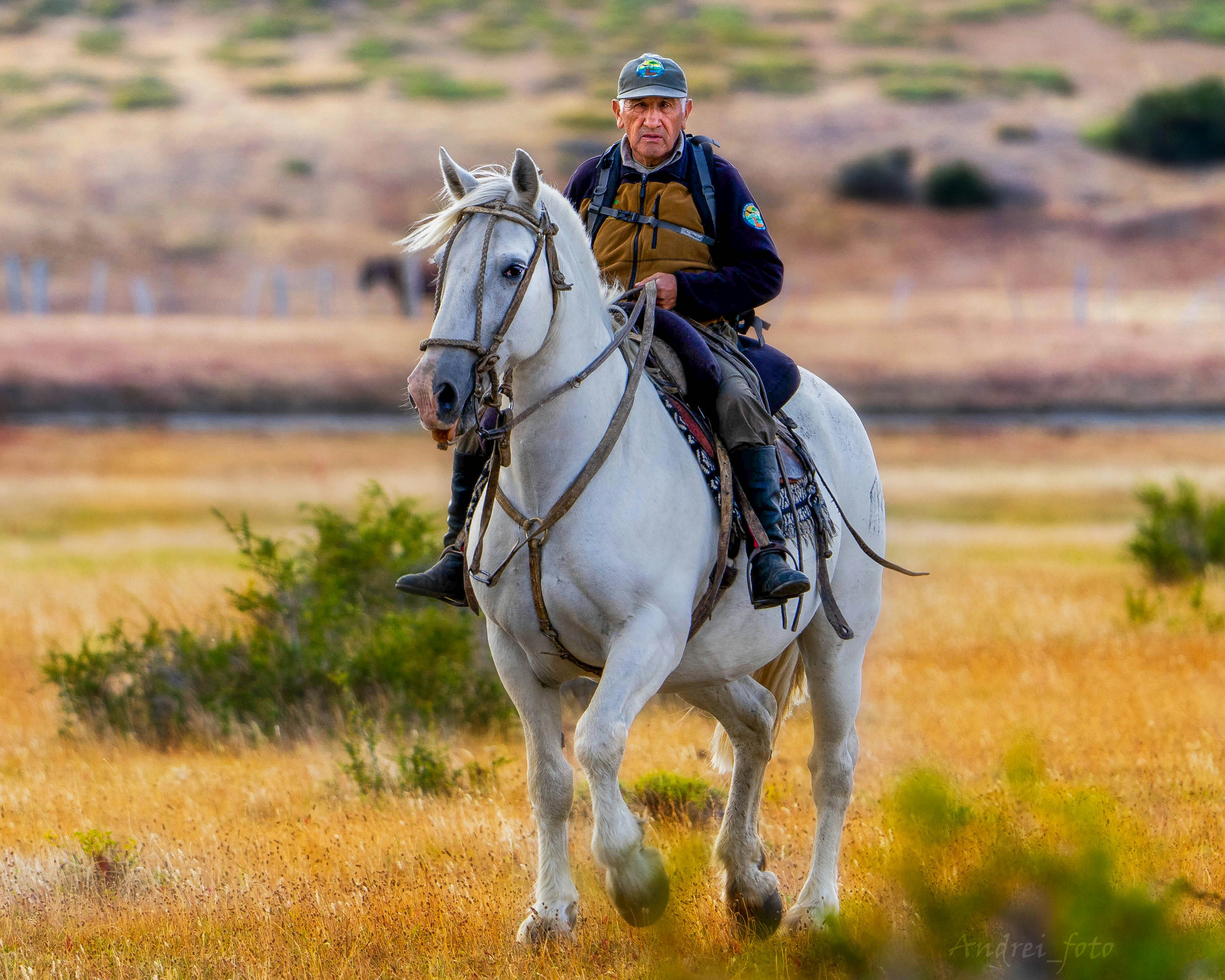 Photo by andrei_foto