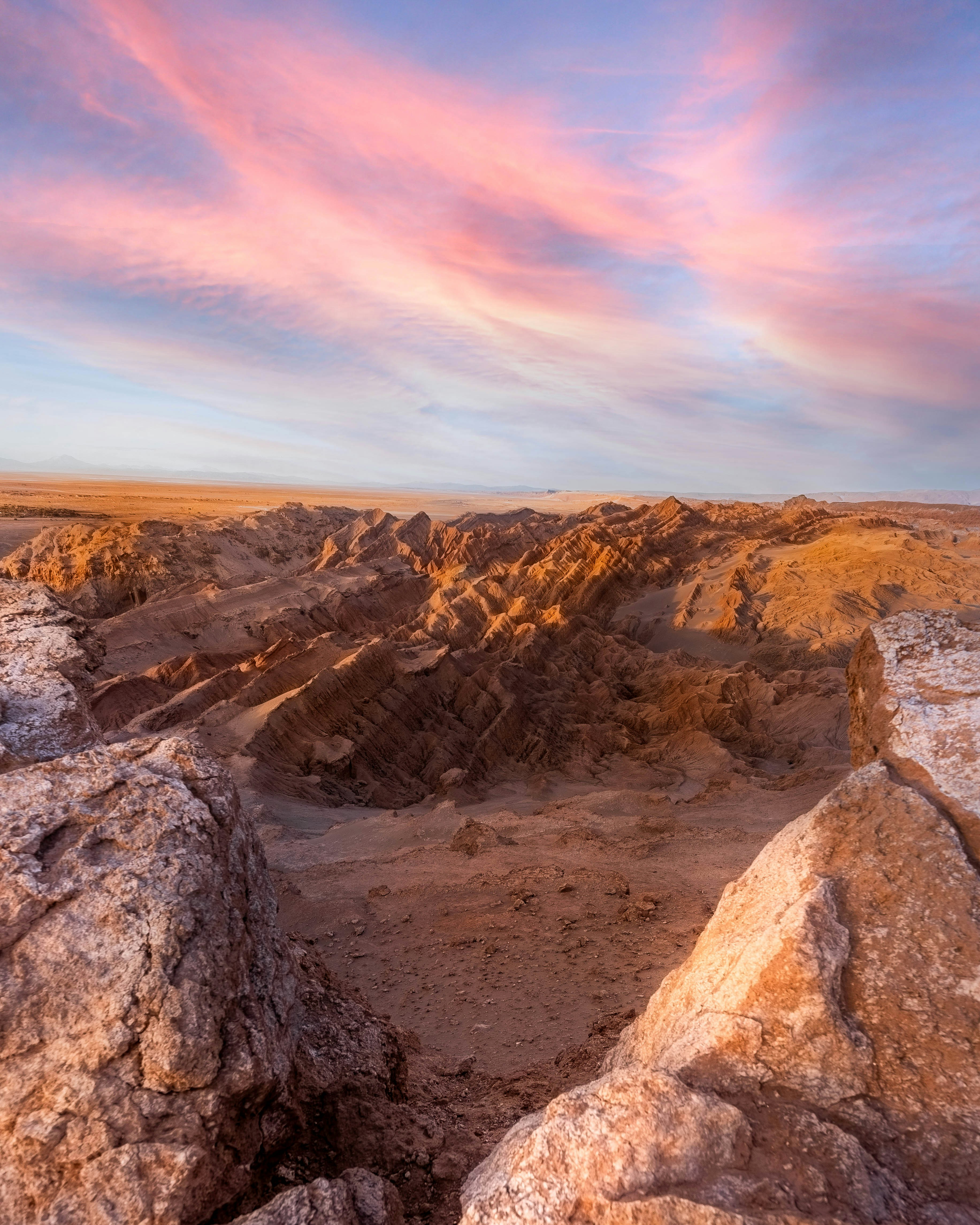 Photo by andrei_foto