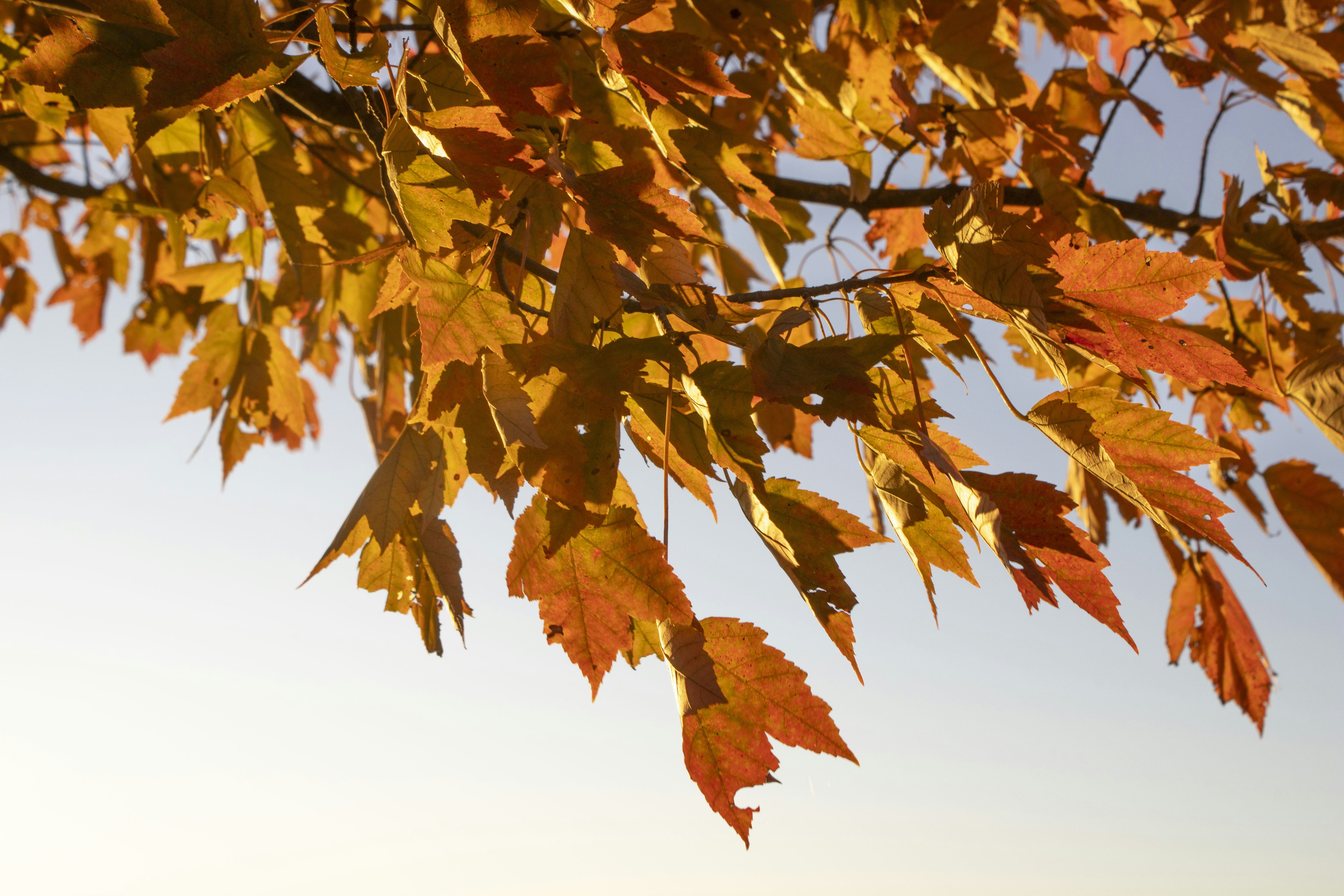 Photo by ivan_aviles