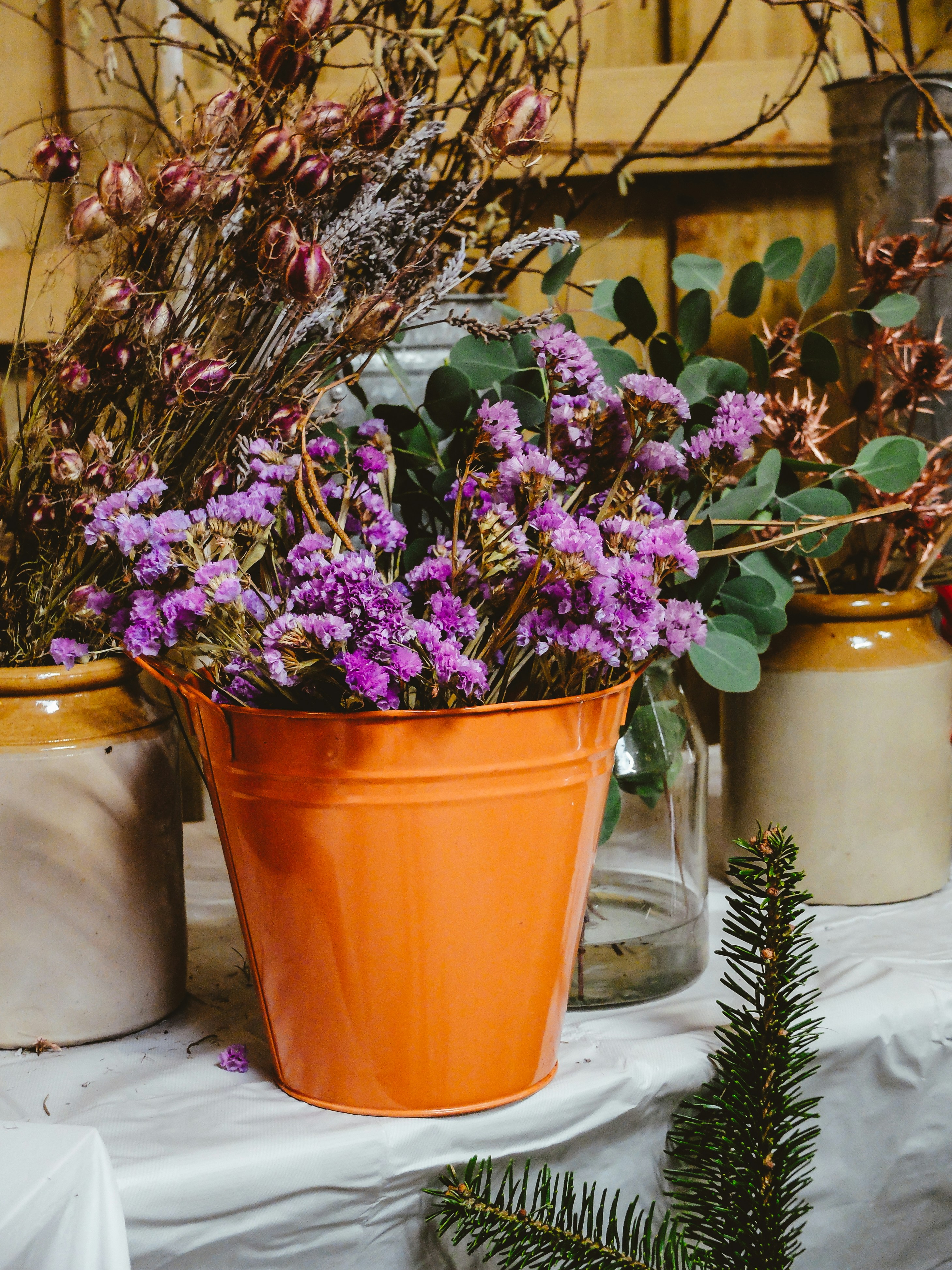 Um grupo de plantas potted que senta-se em uma tabela