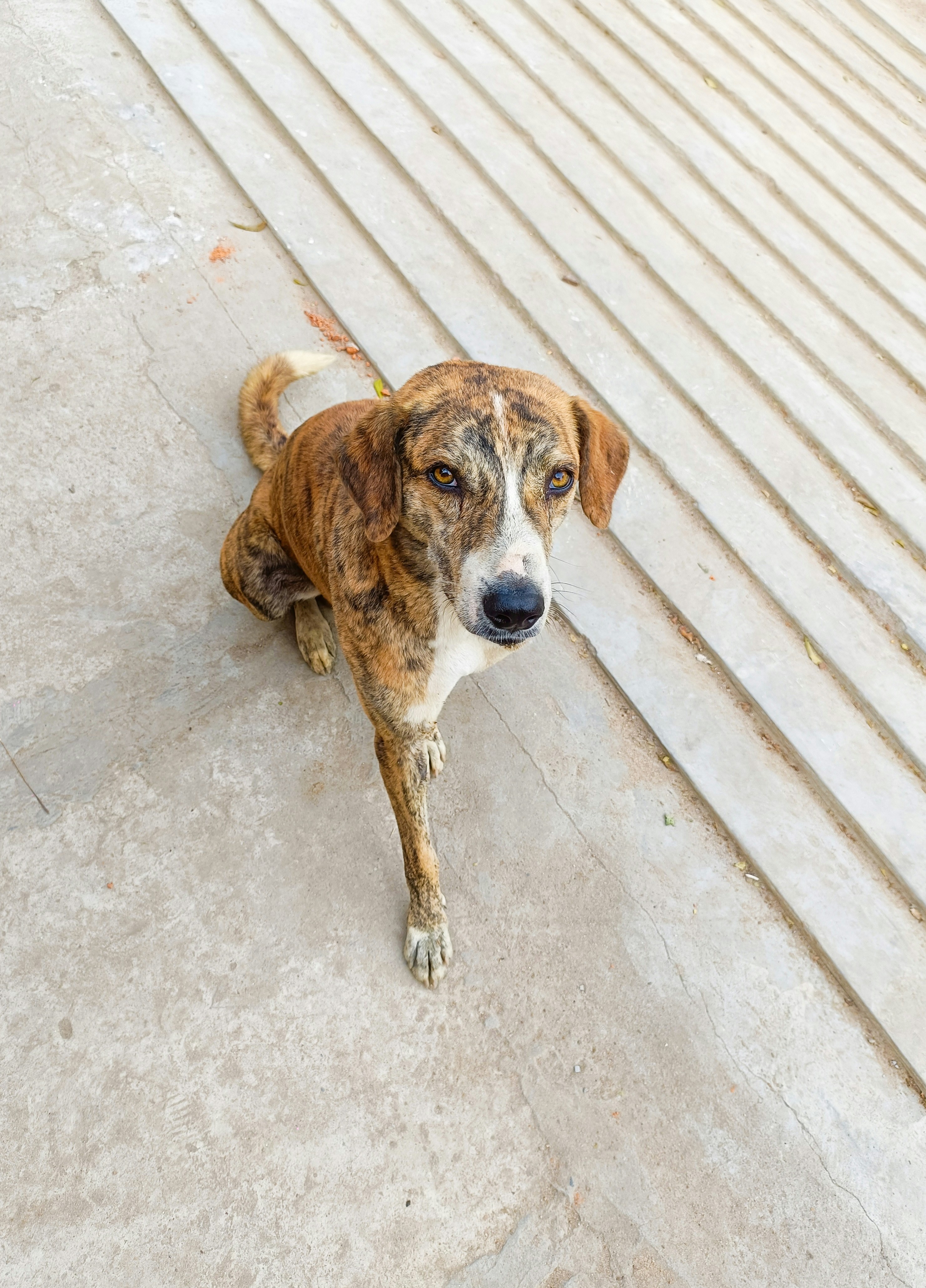 Photo by capturedmoments193