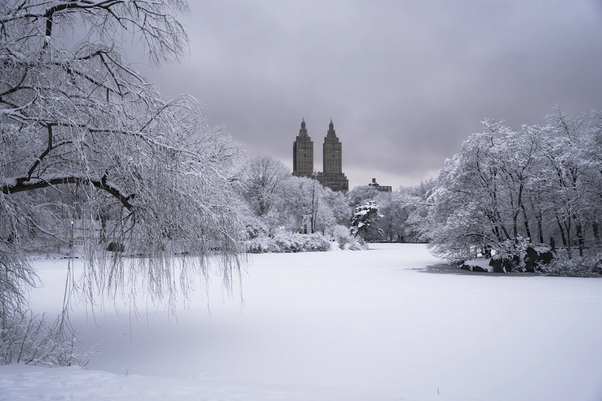Snow-covered lake in Central Park with the twin towers of the San Remo behind the trees