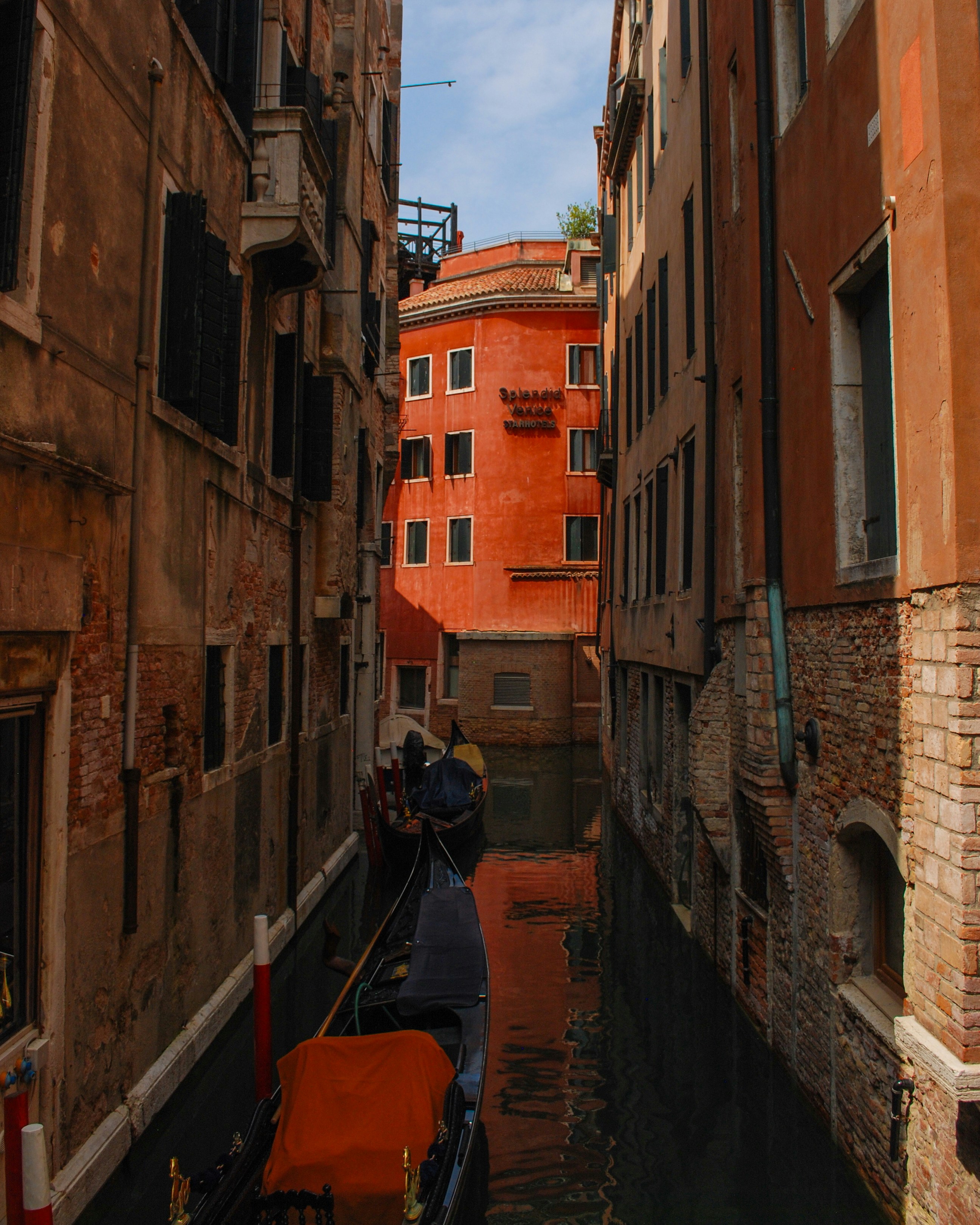 Photo by vignette_colours