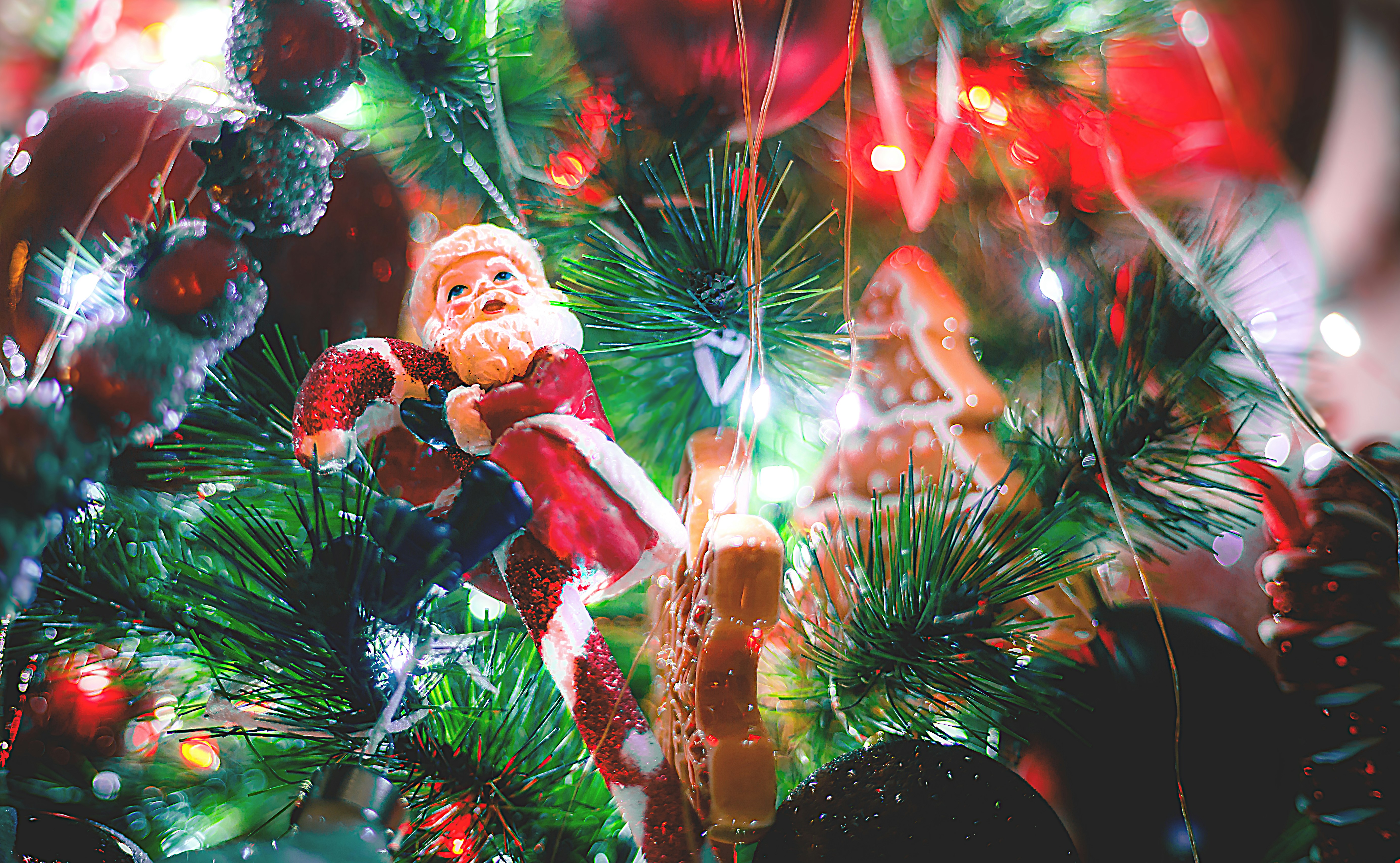 Photo by arizonanthony