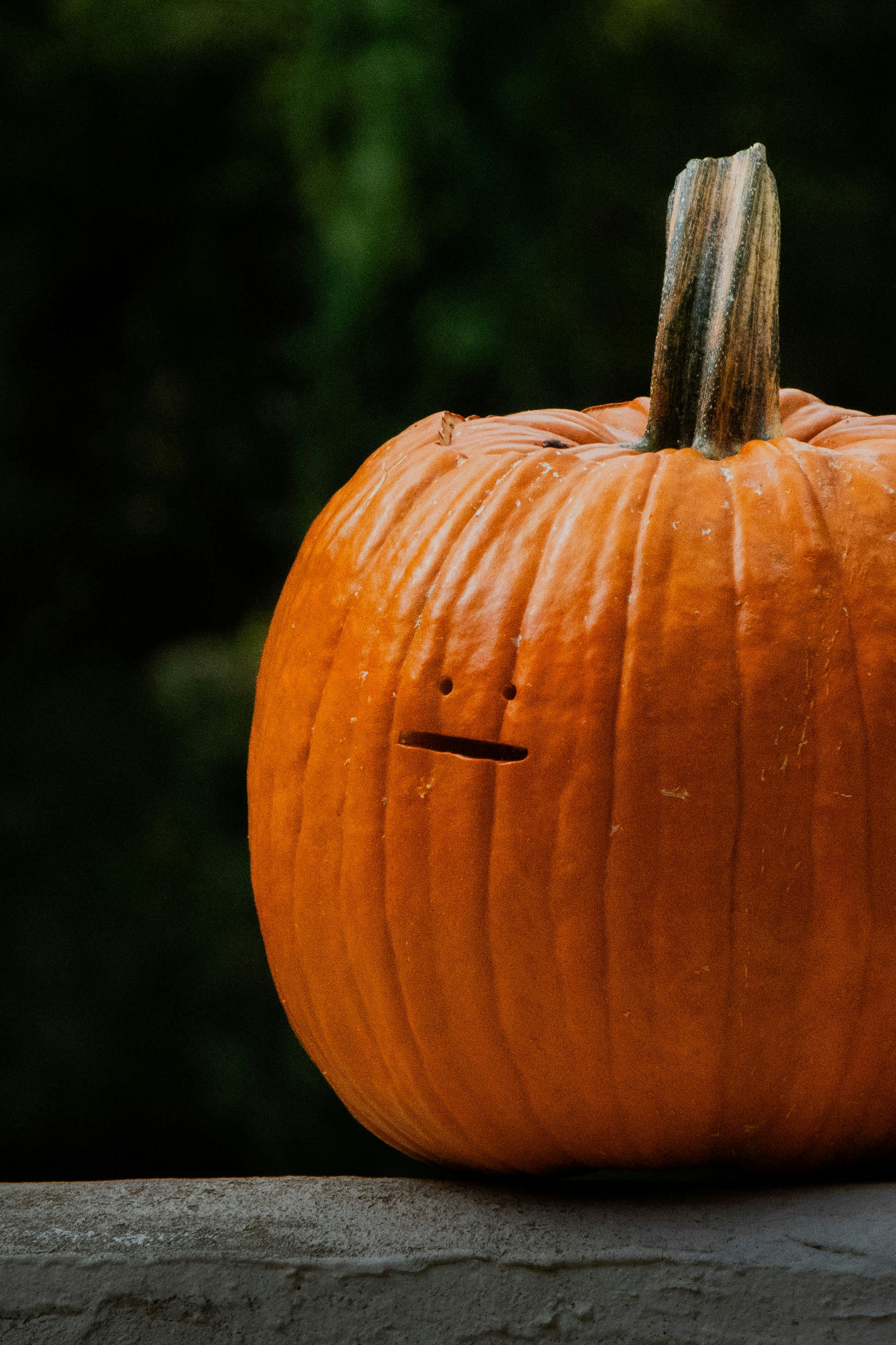 Photo by parkerdesignsss