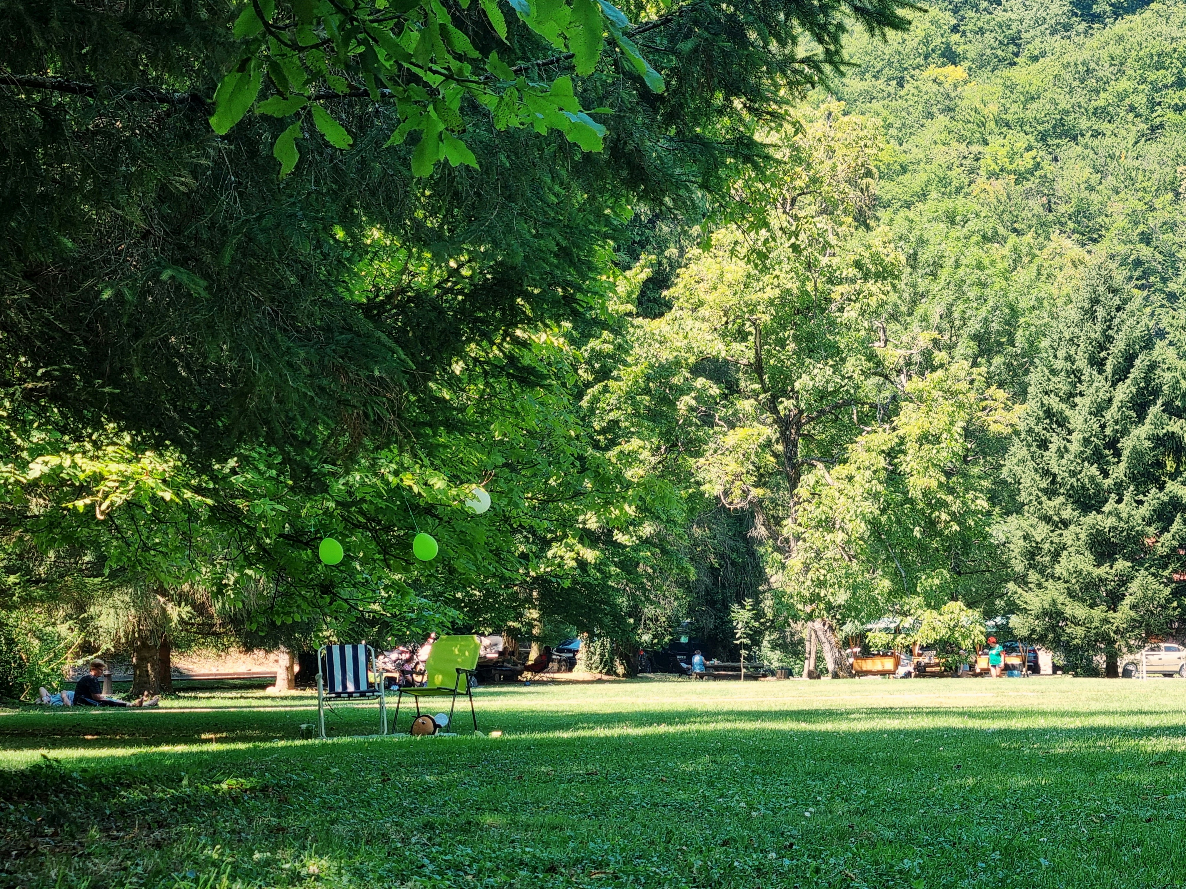 A park with lots of green grass and trees