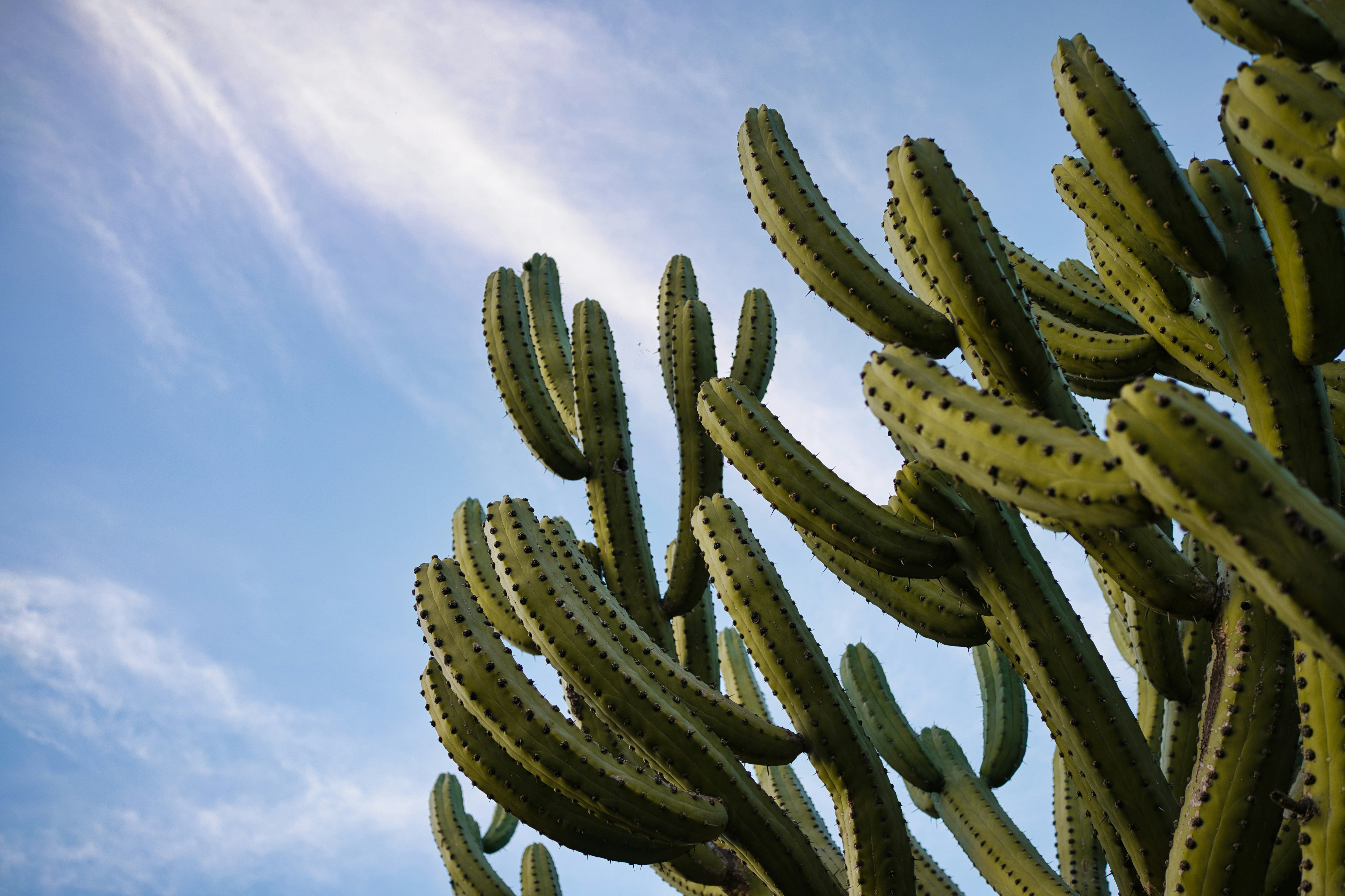 Photo by maksimshutov