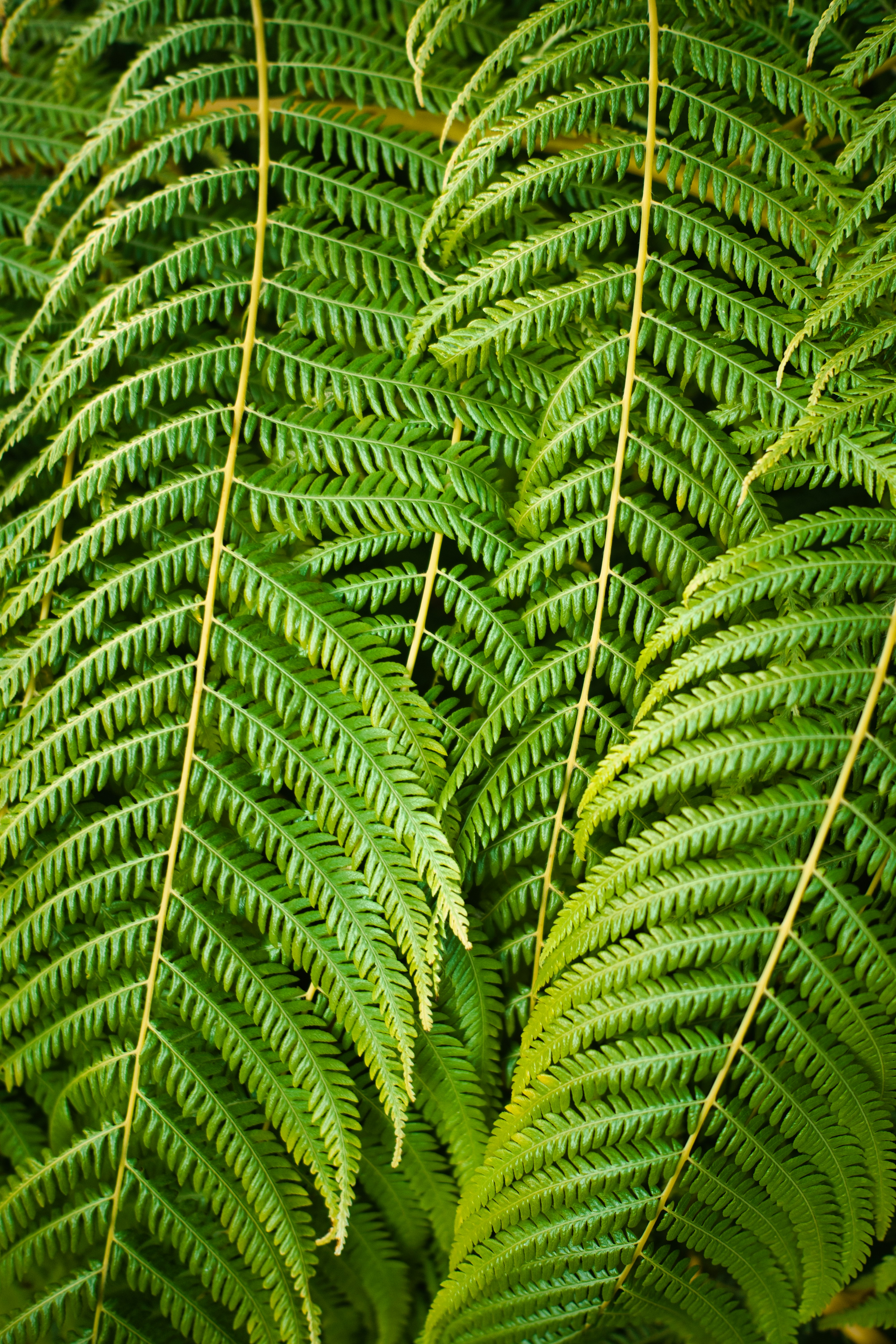 Photo by maksimshutov