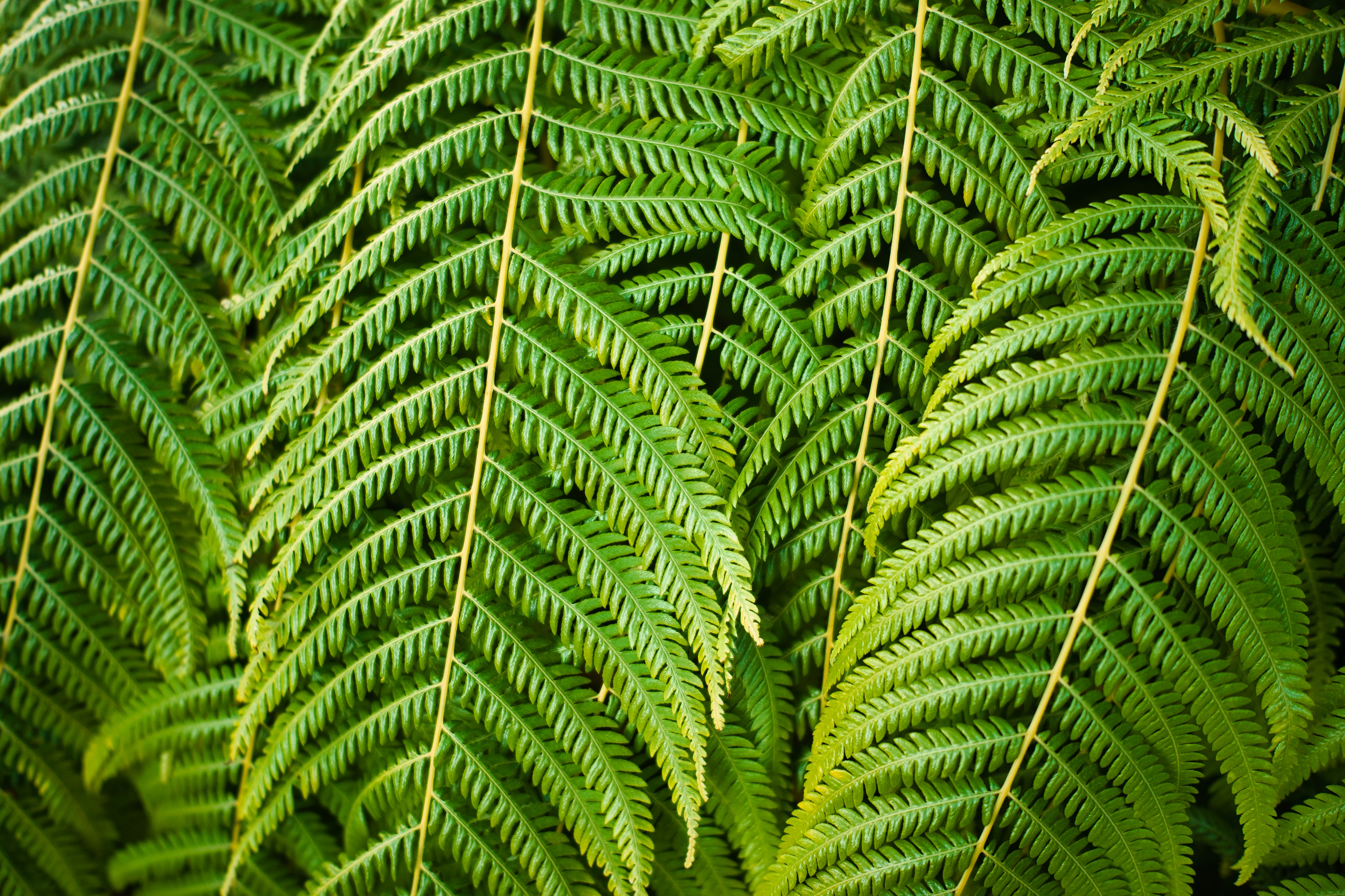 Photo by maksimshutov