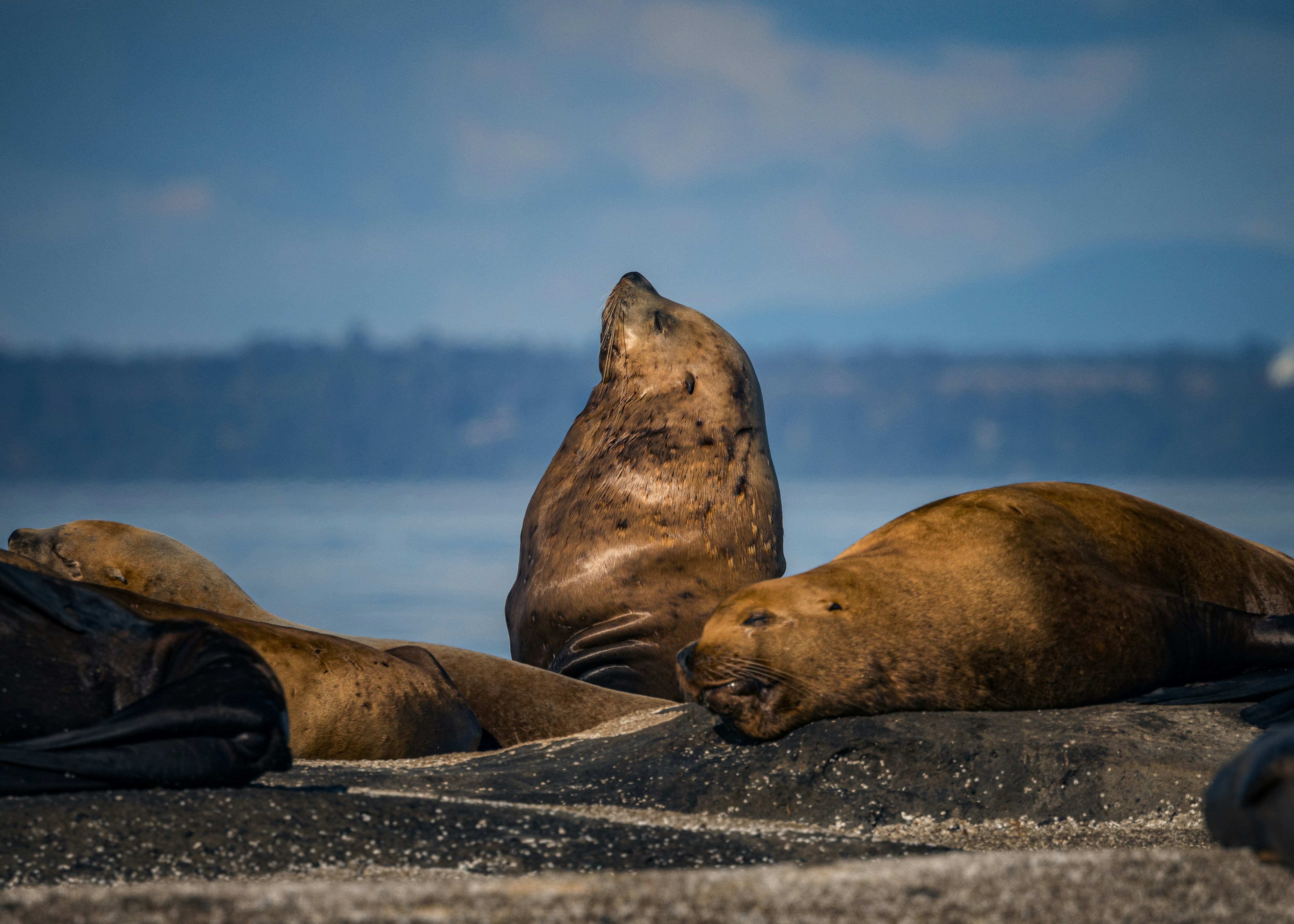 Photo by sailorgreg123