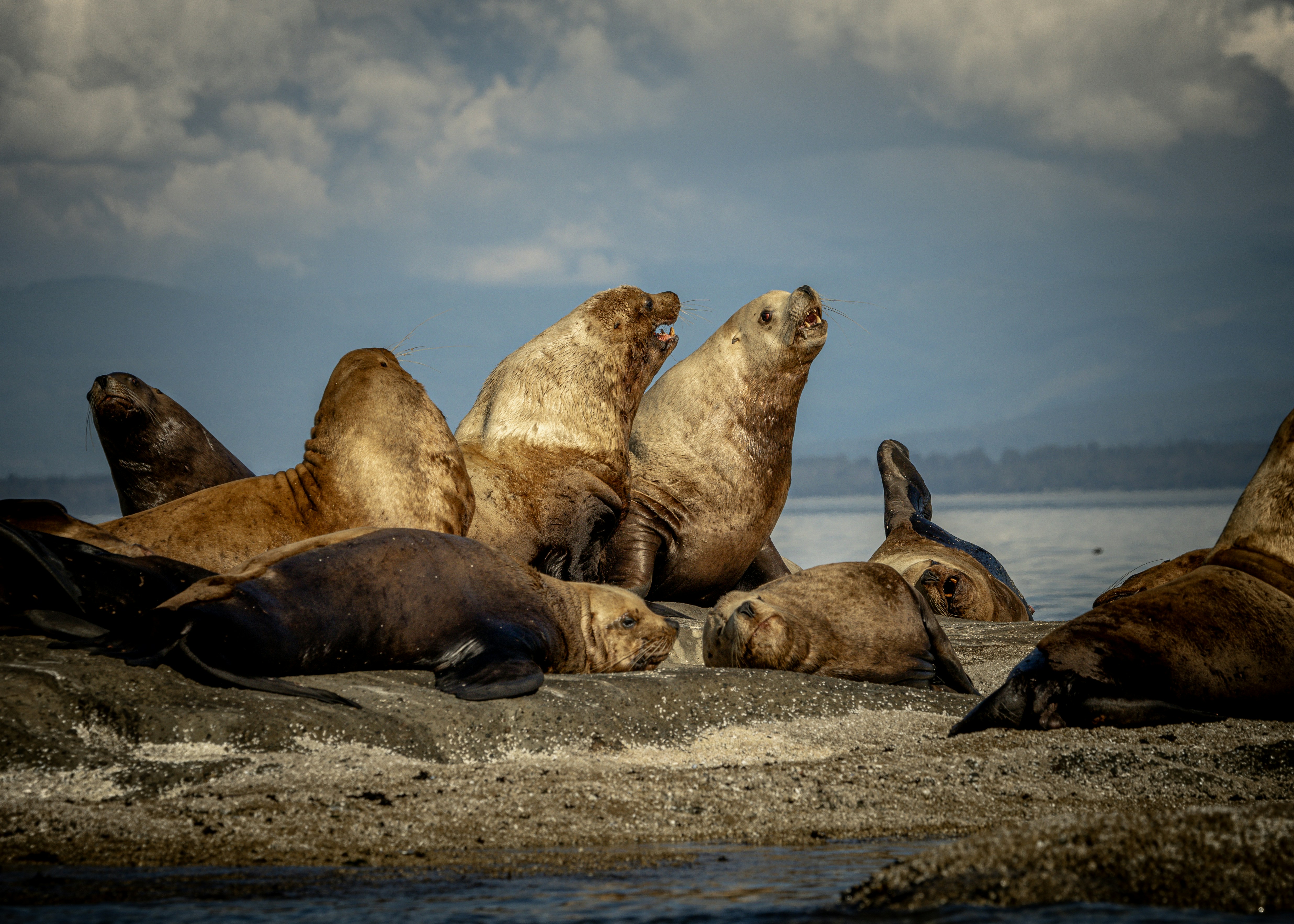 Photo by sailorgreg123