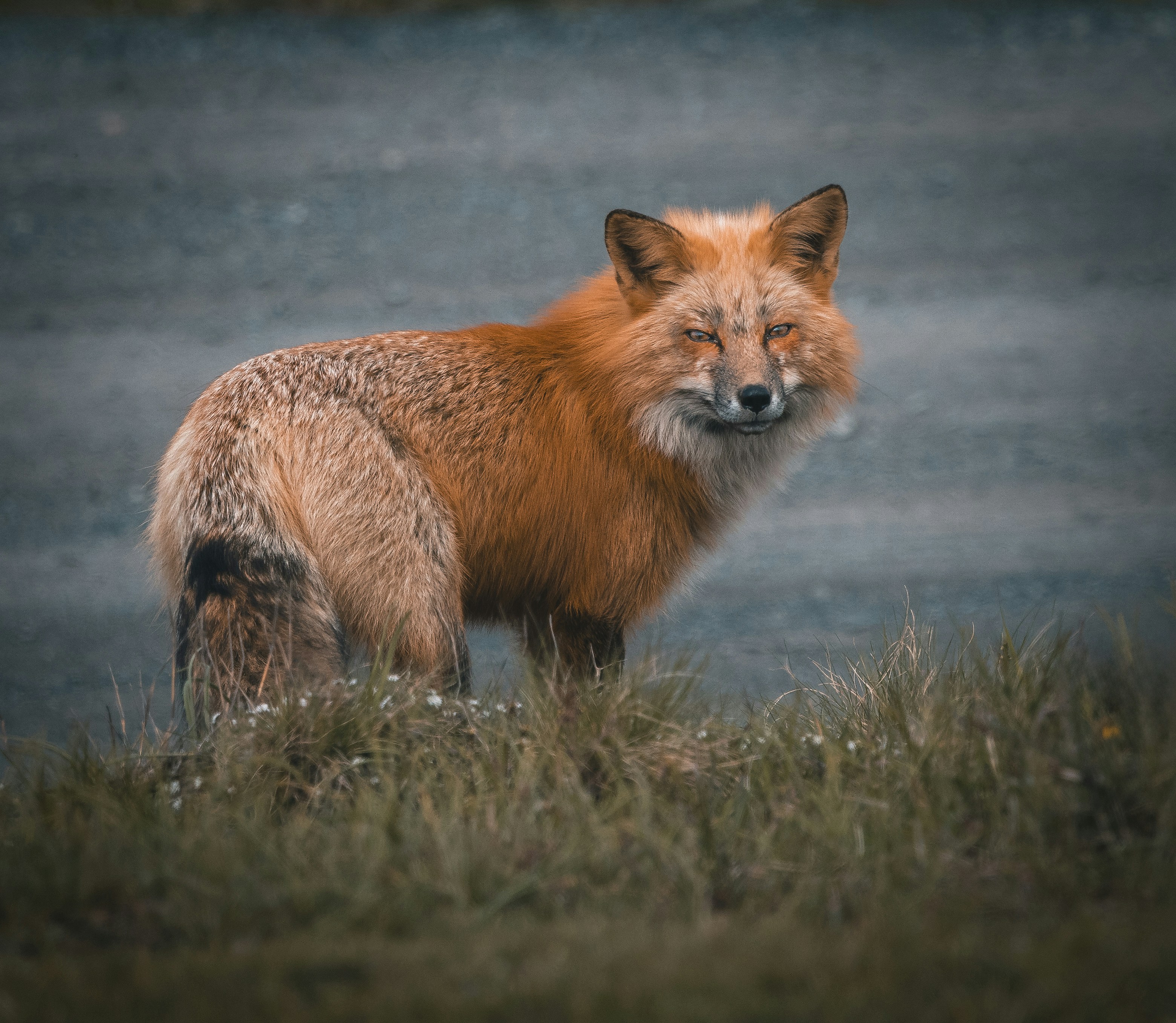 Photo by sailorgreg123