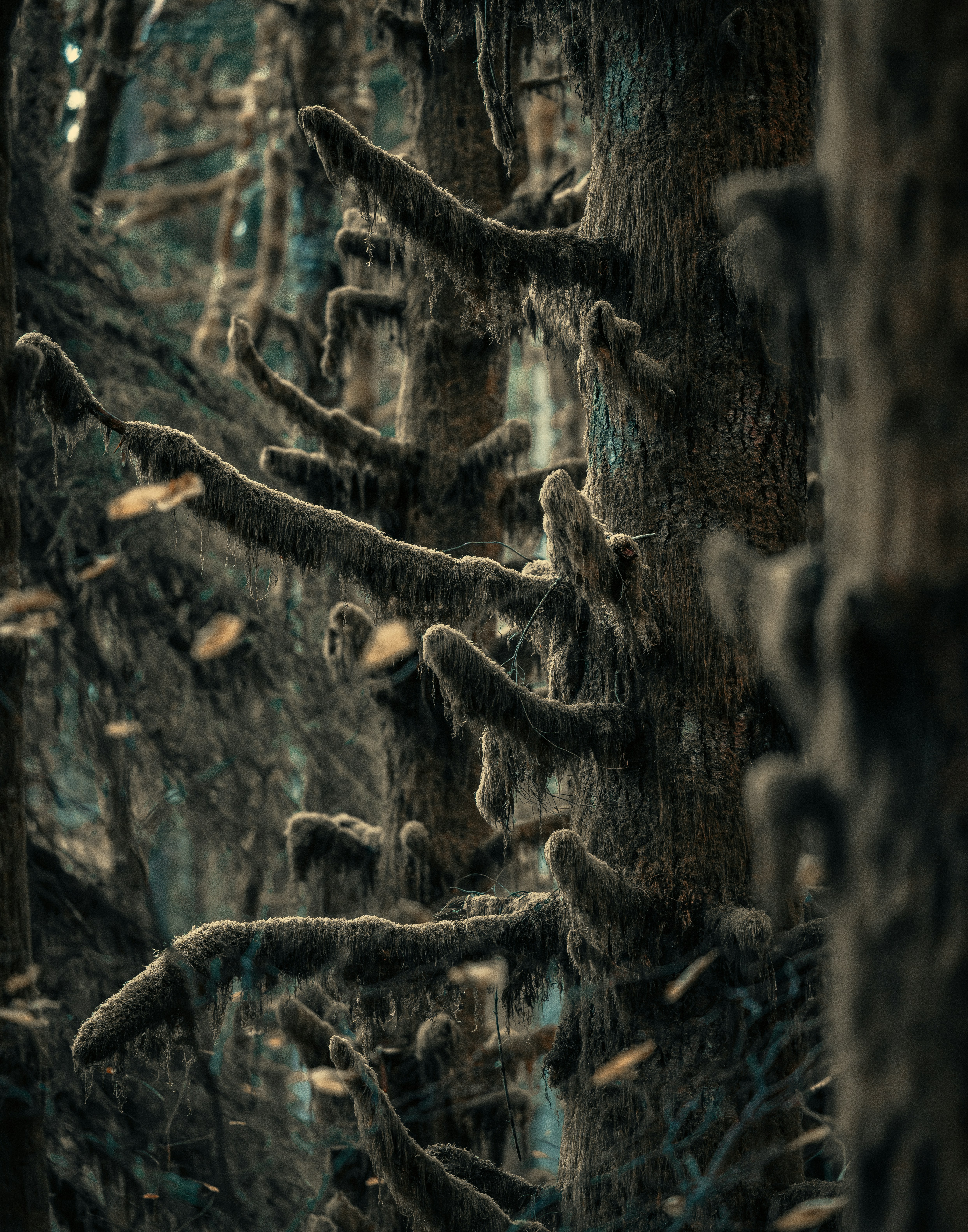 Photo by sailorgreg123