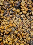 A close up of a bunch of nuts