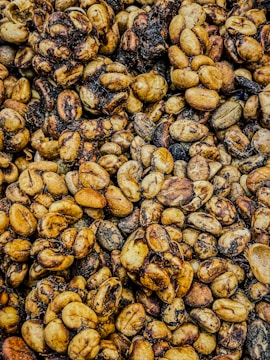 A close up of a bunch of nuts