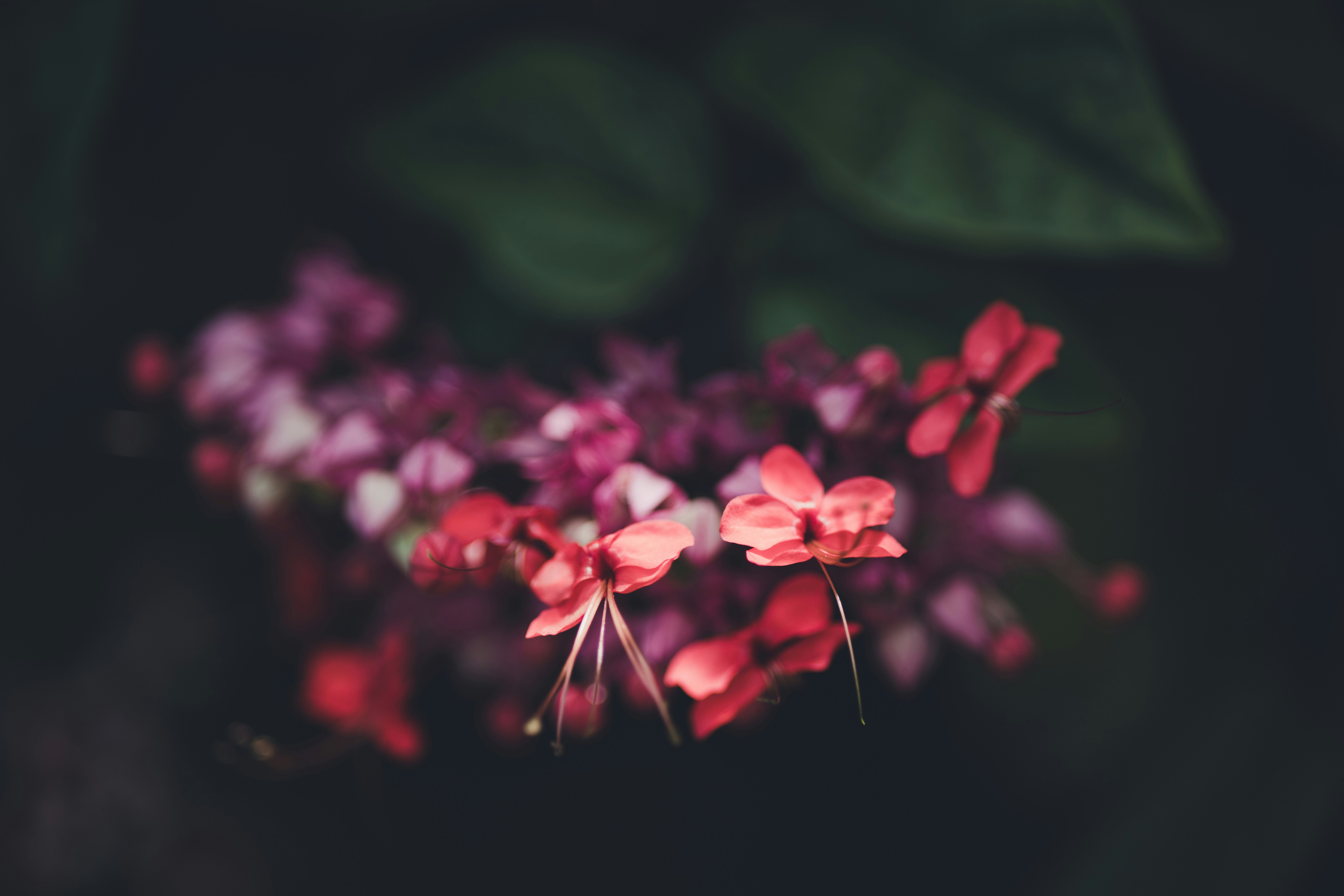 Photo by rrodriguesim