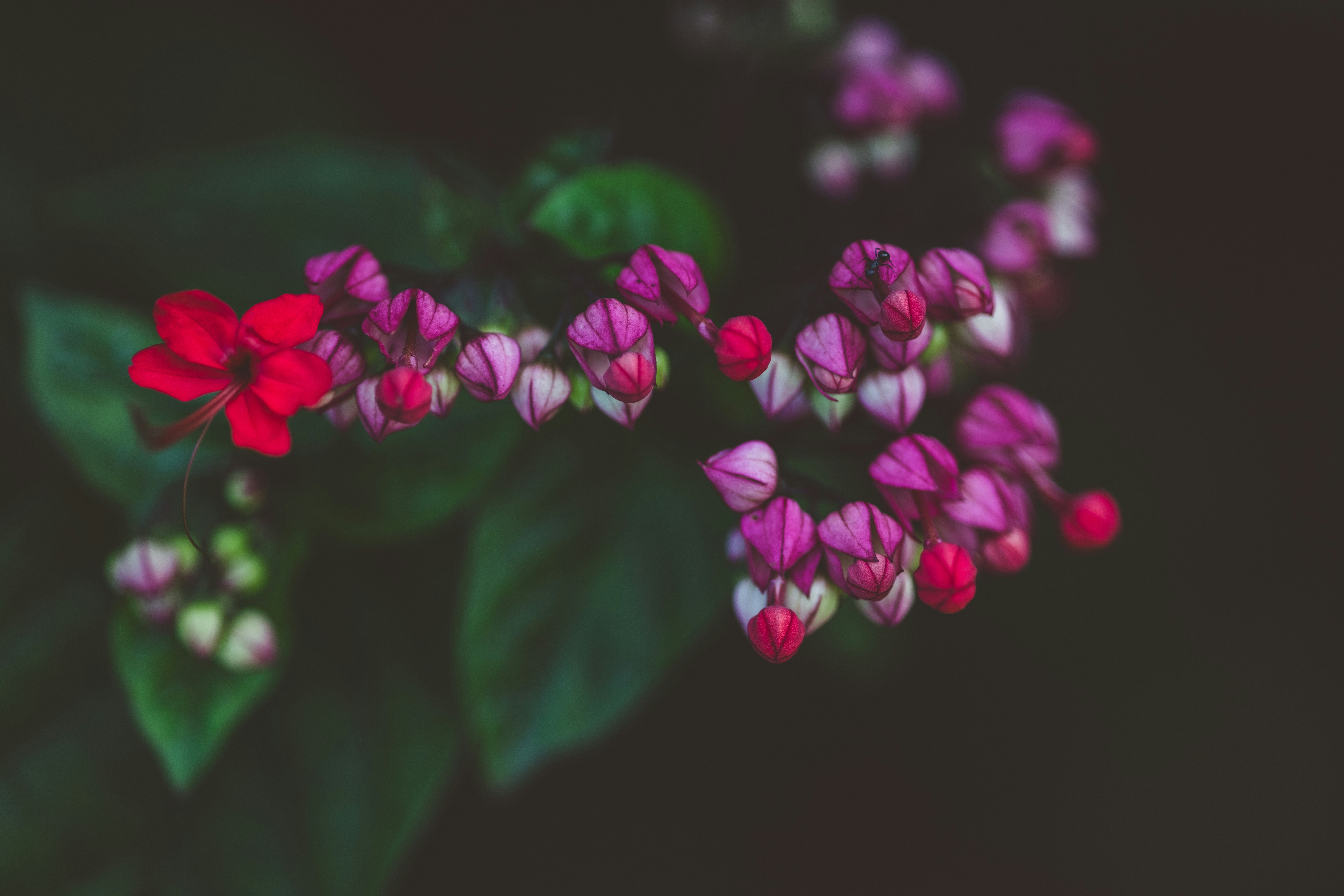 Photo by rrodriguesim