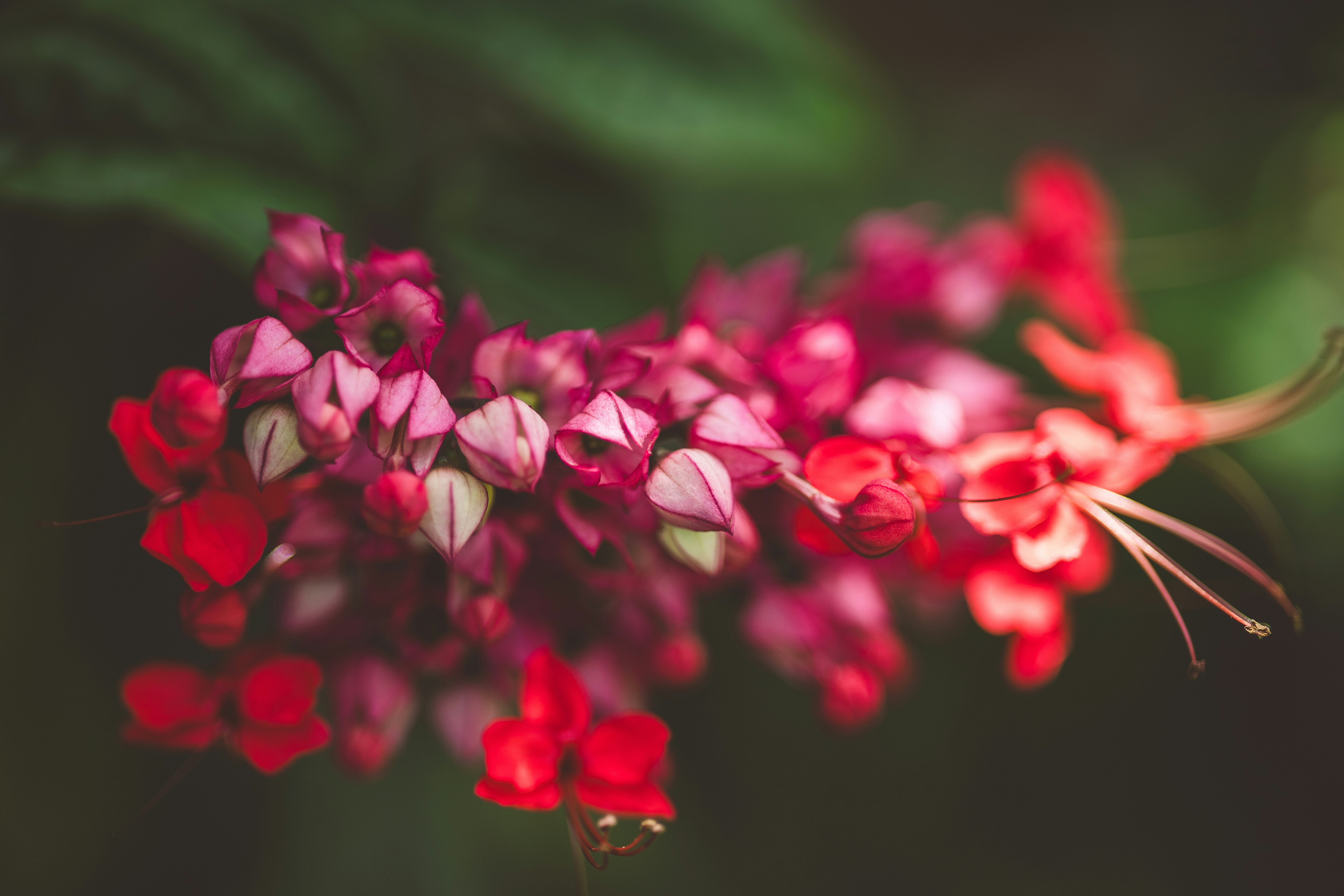 Photo by rrodriguesim