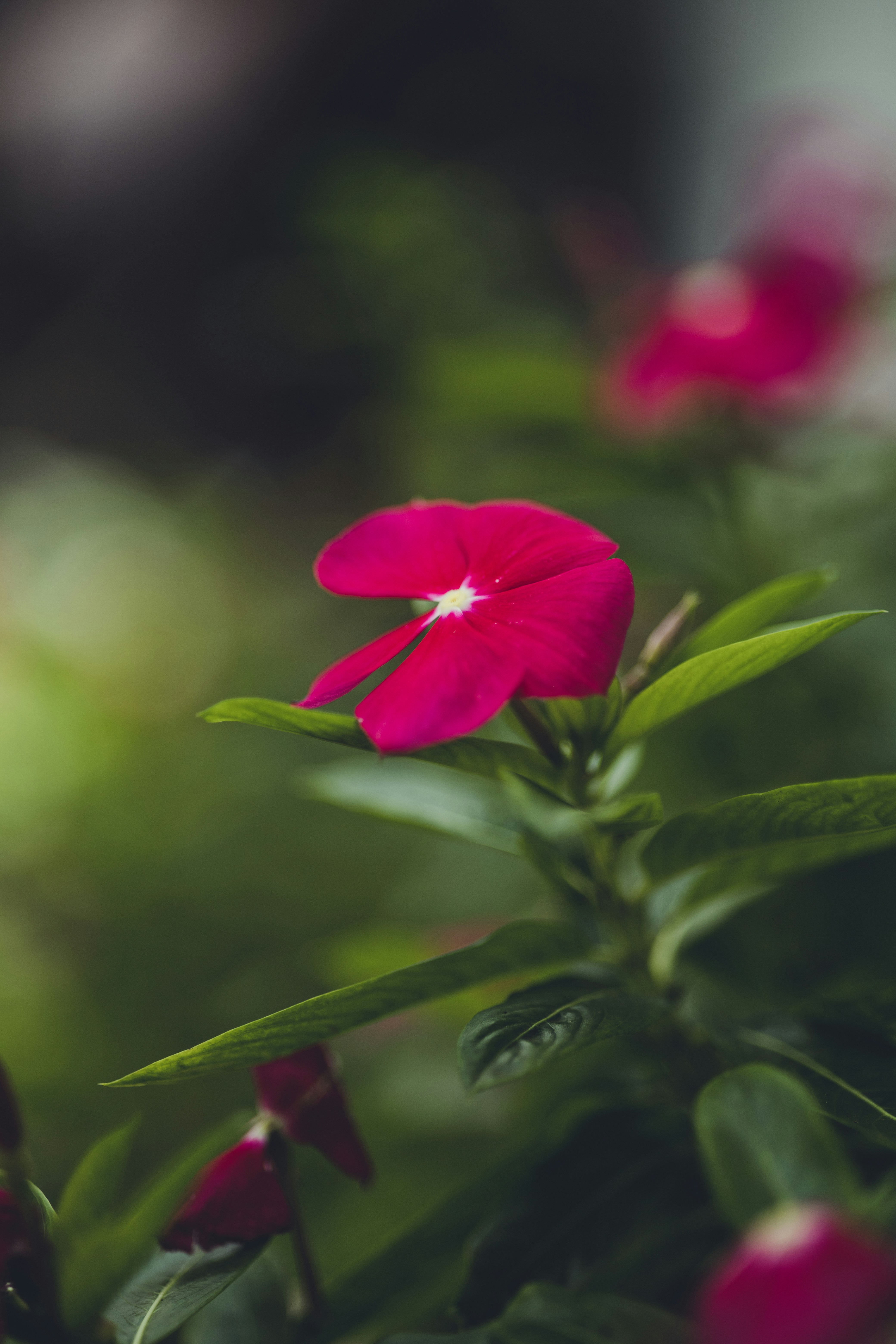 Photo by rrodriguesim