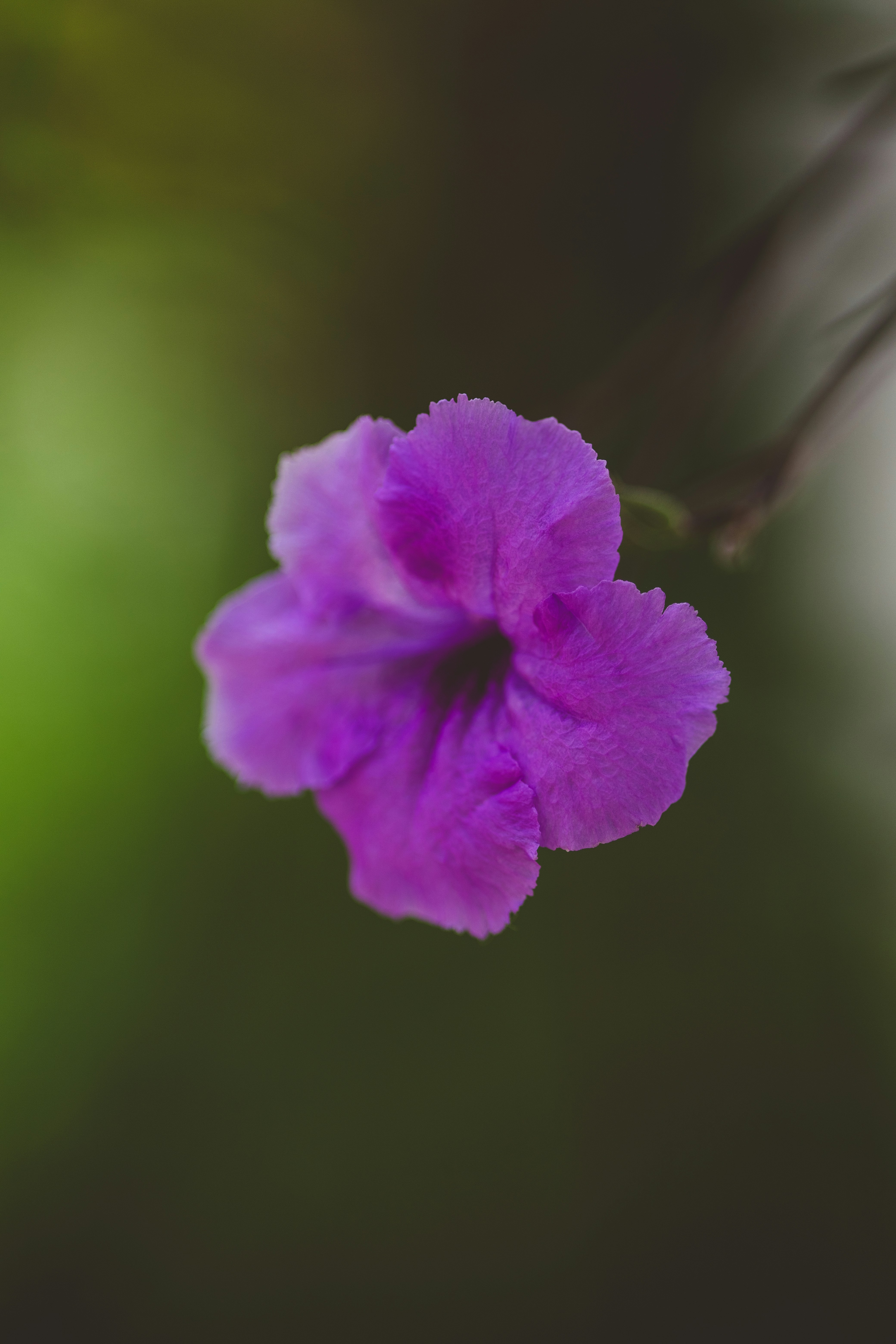 Photo by rrodriguesim