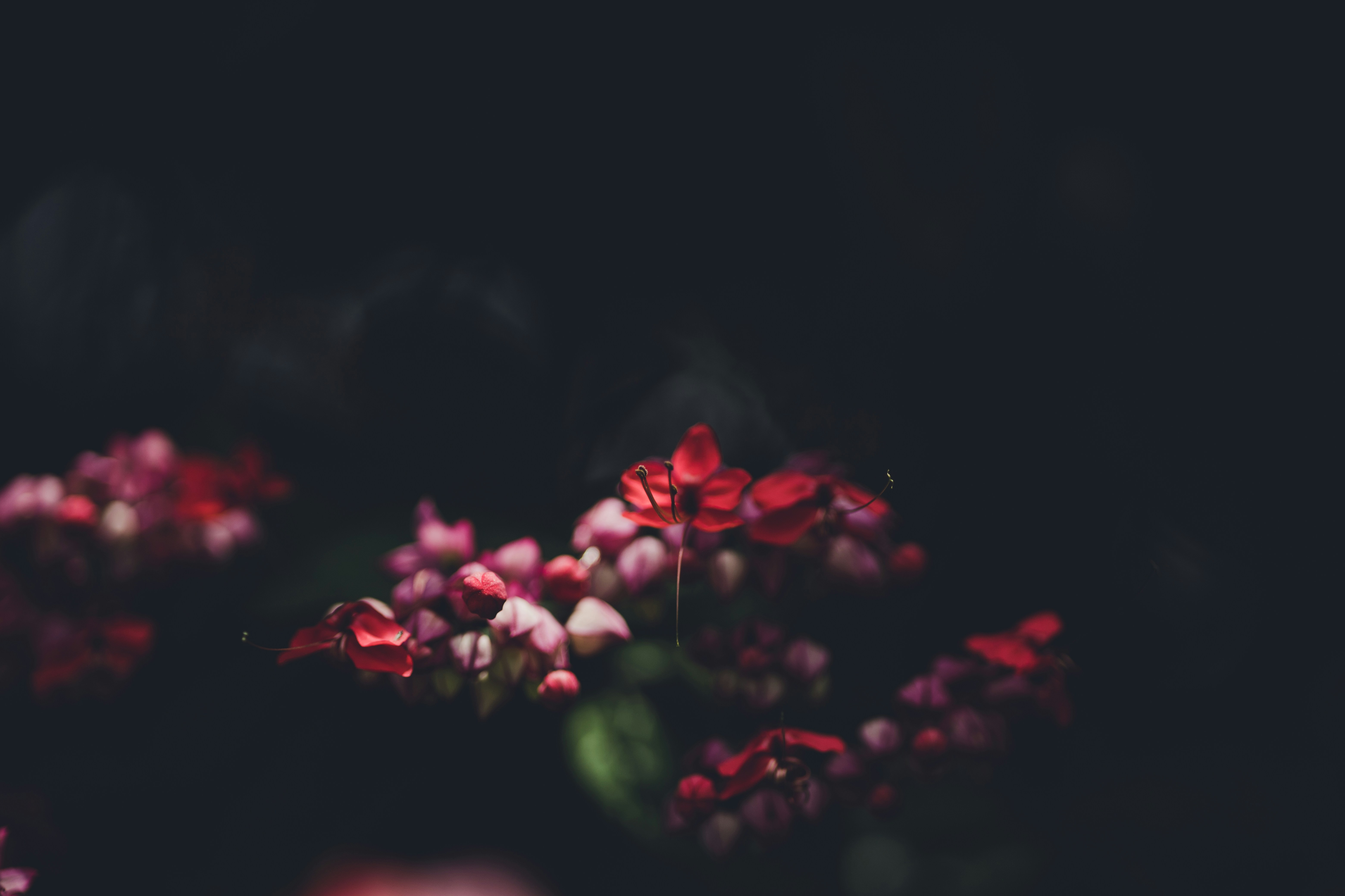 Photo by rrodriguesim