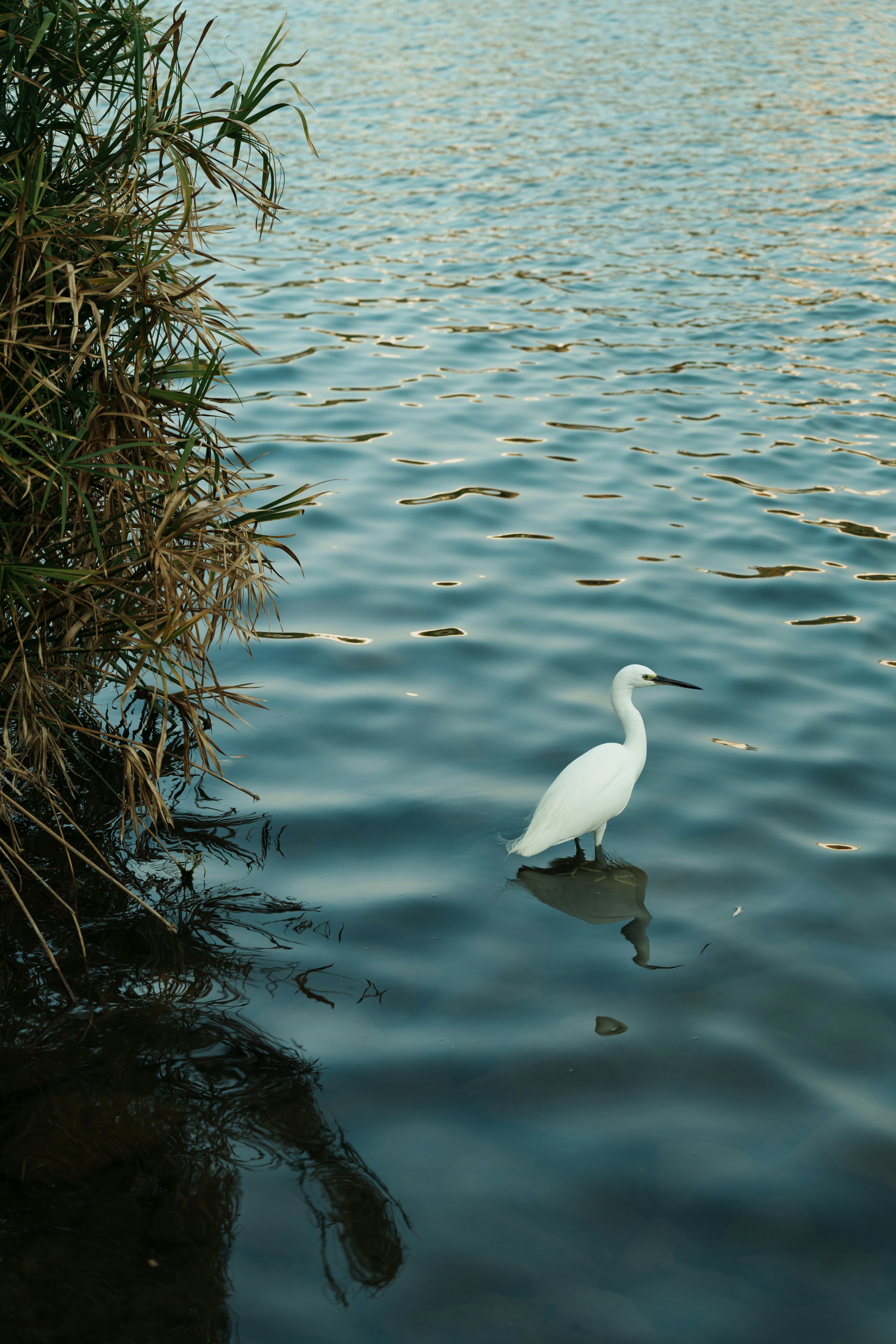 Photo by toxicsmoker