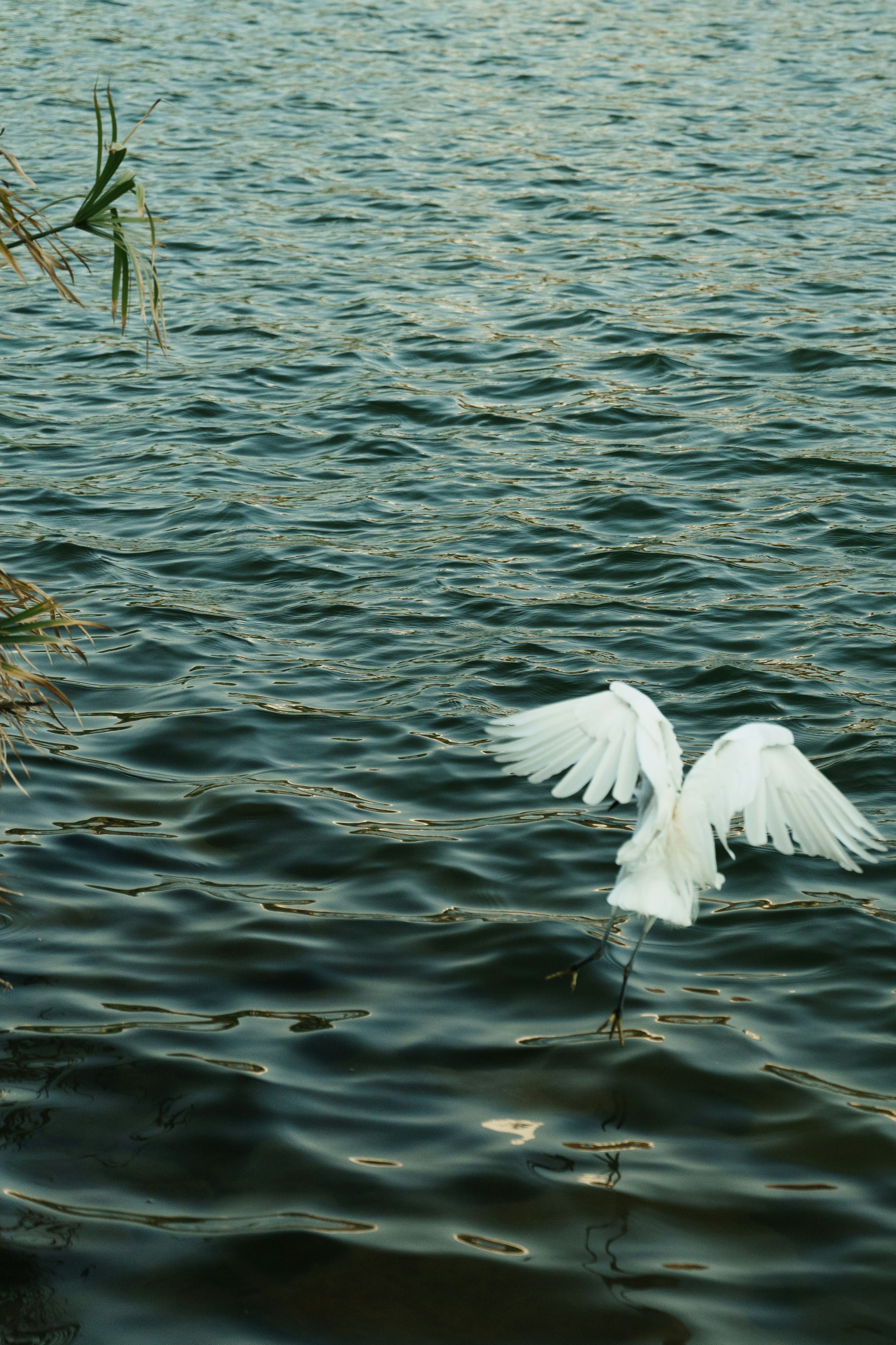 Photo by toxicsmoker