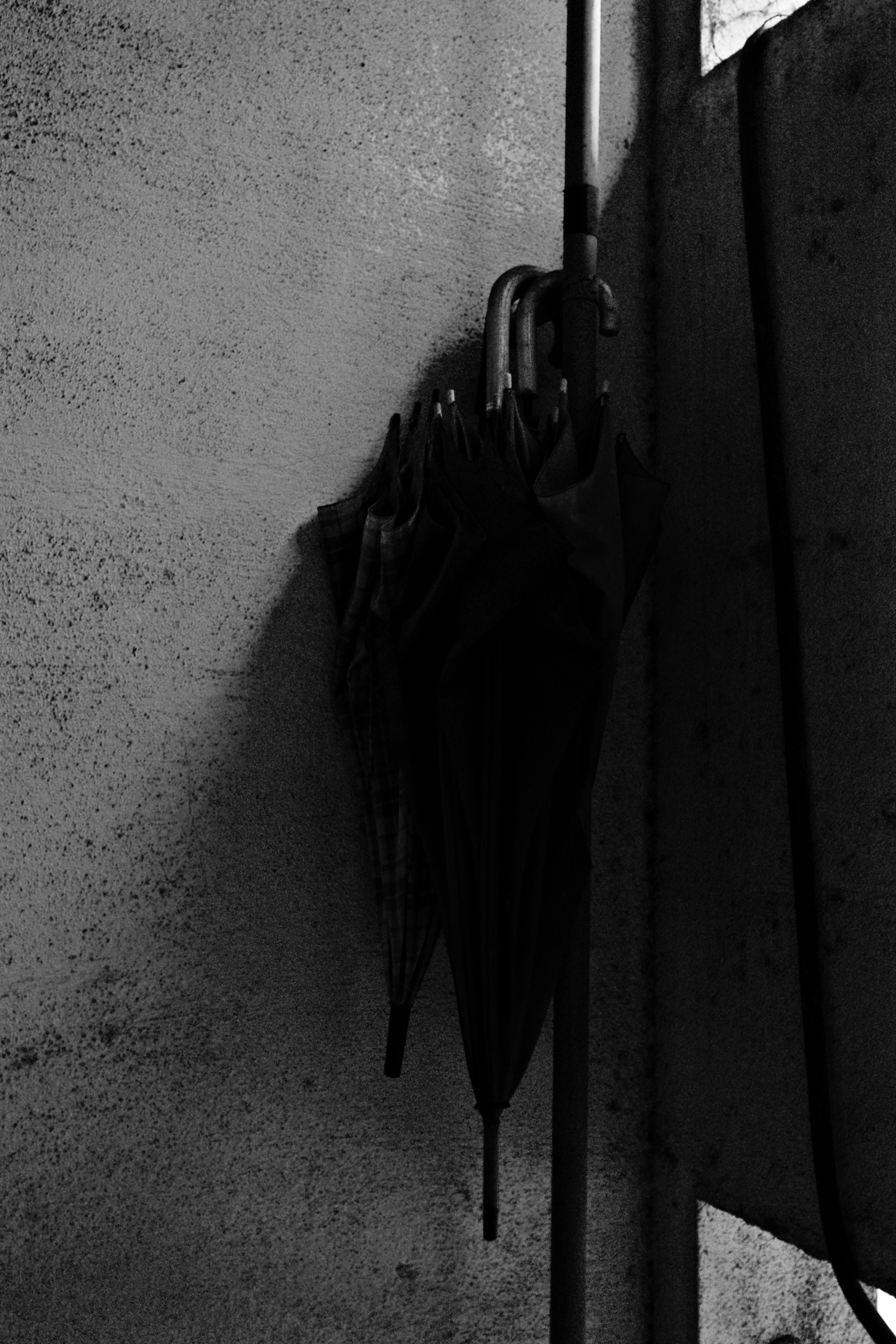 photo-1734228973571-0b9d05e82099?ixid=M3wxMjA3fDB8MXxzZWFyY2h8MTl8fGF2YWlsYWJsZSUyMGF0JTIwbG9ja3NtaXRoJTYwcyUyMHdlYnNpdGV8ZW58MHx8fHwxNzU1MzQ2NTIzfDA\u0026ixlib=rb-4.1.0