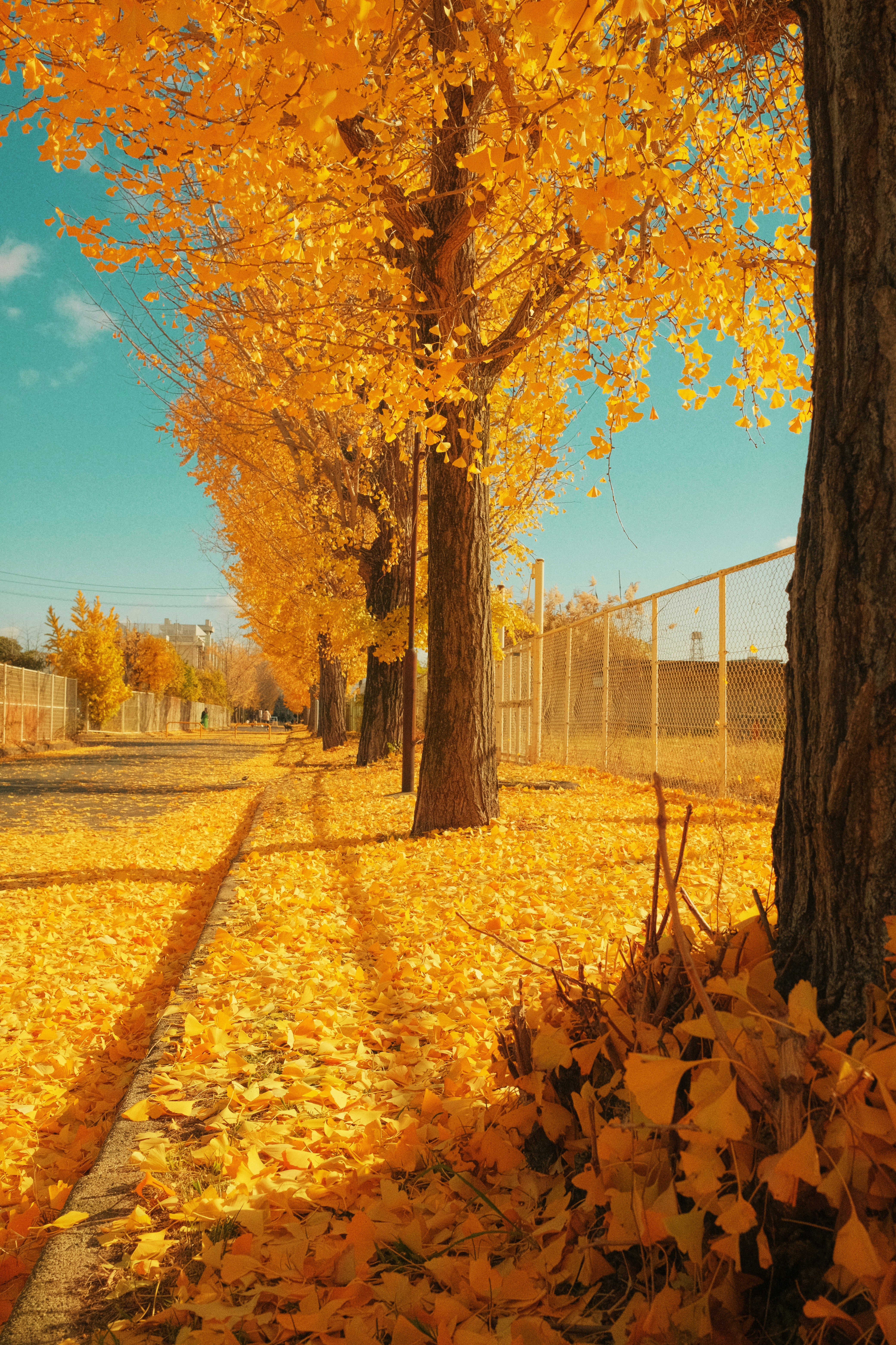 Photo by zengyili