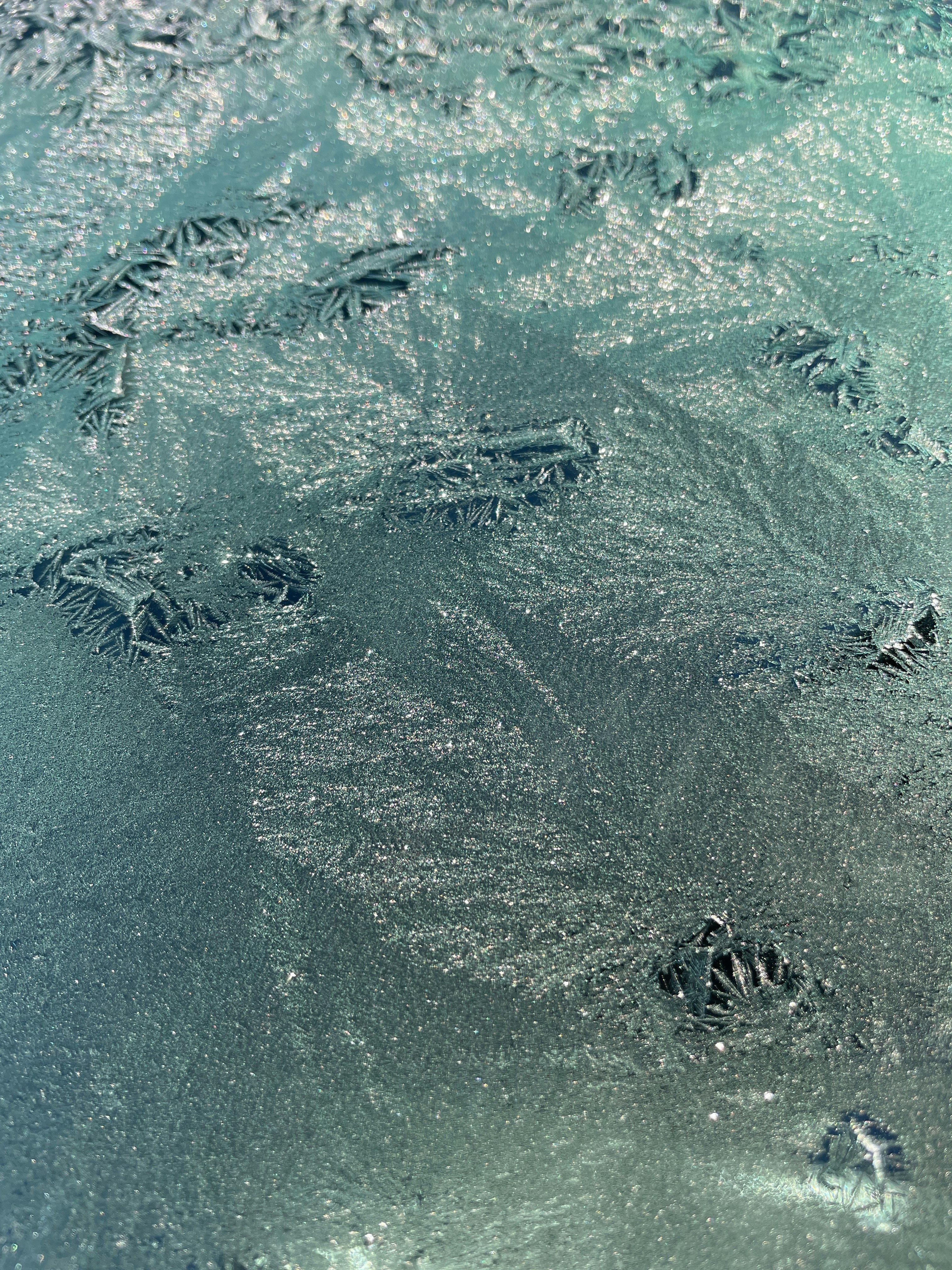 Photo by miltreynolds