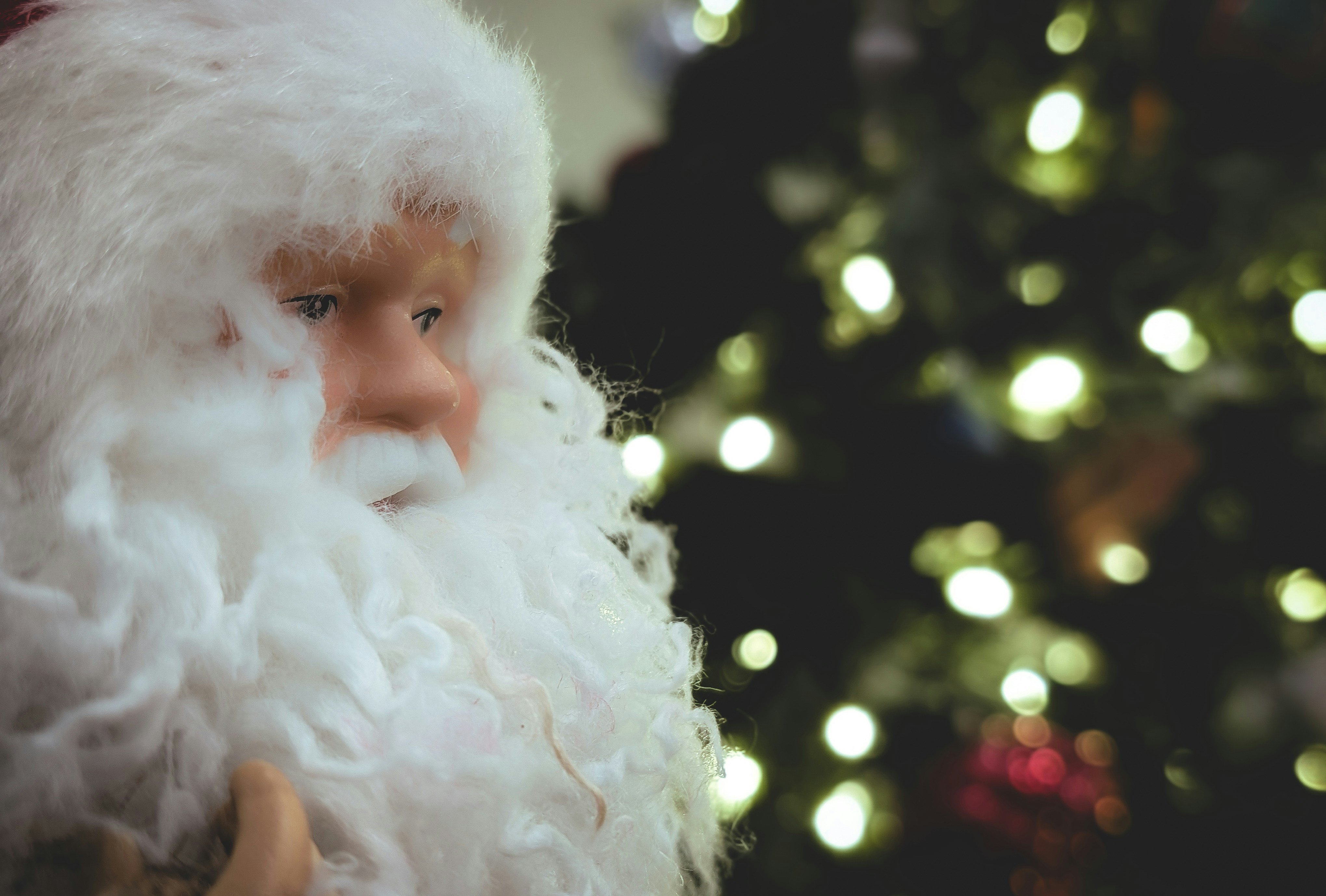 Photo by mehtajinesh