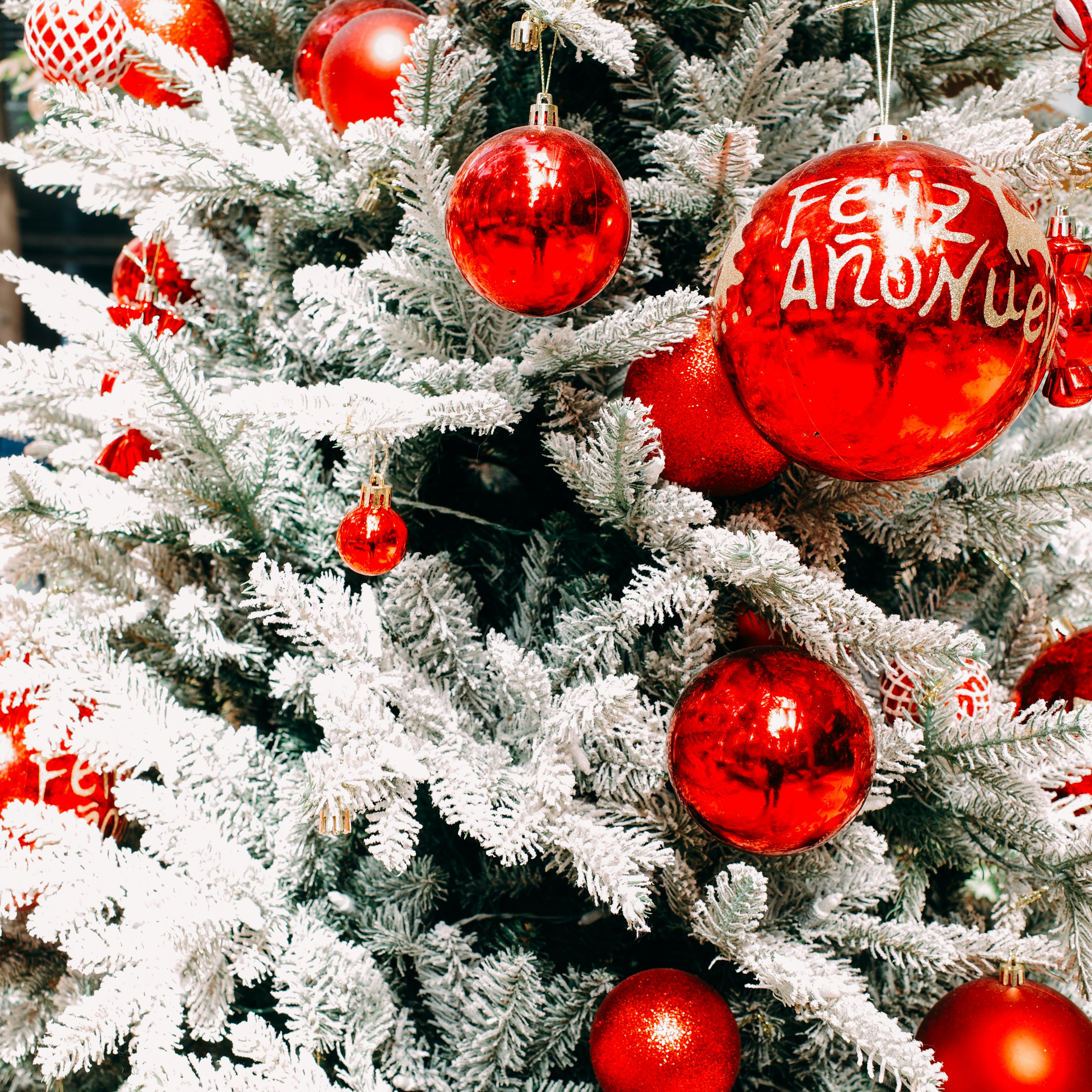 Photo by dickenslin76