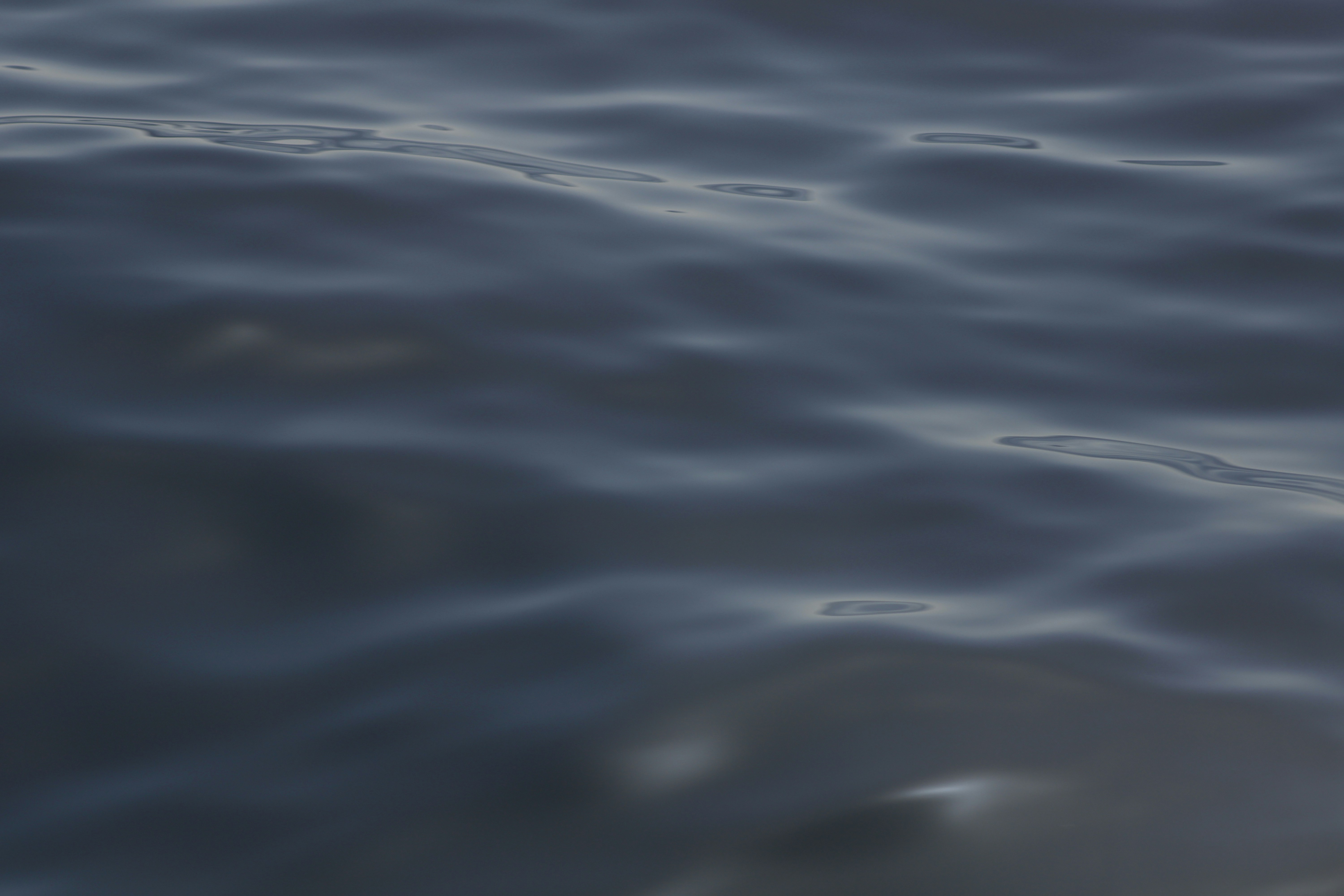 Photo by yenniferfilms